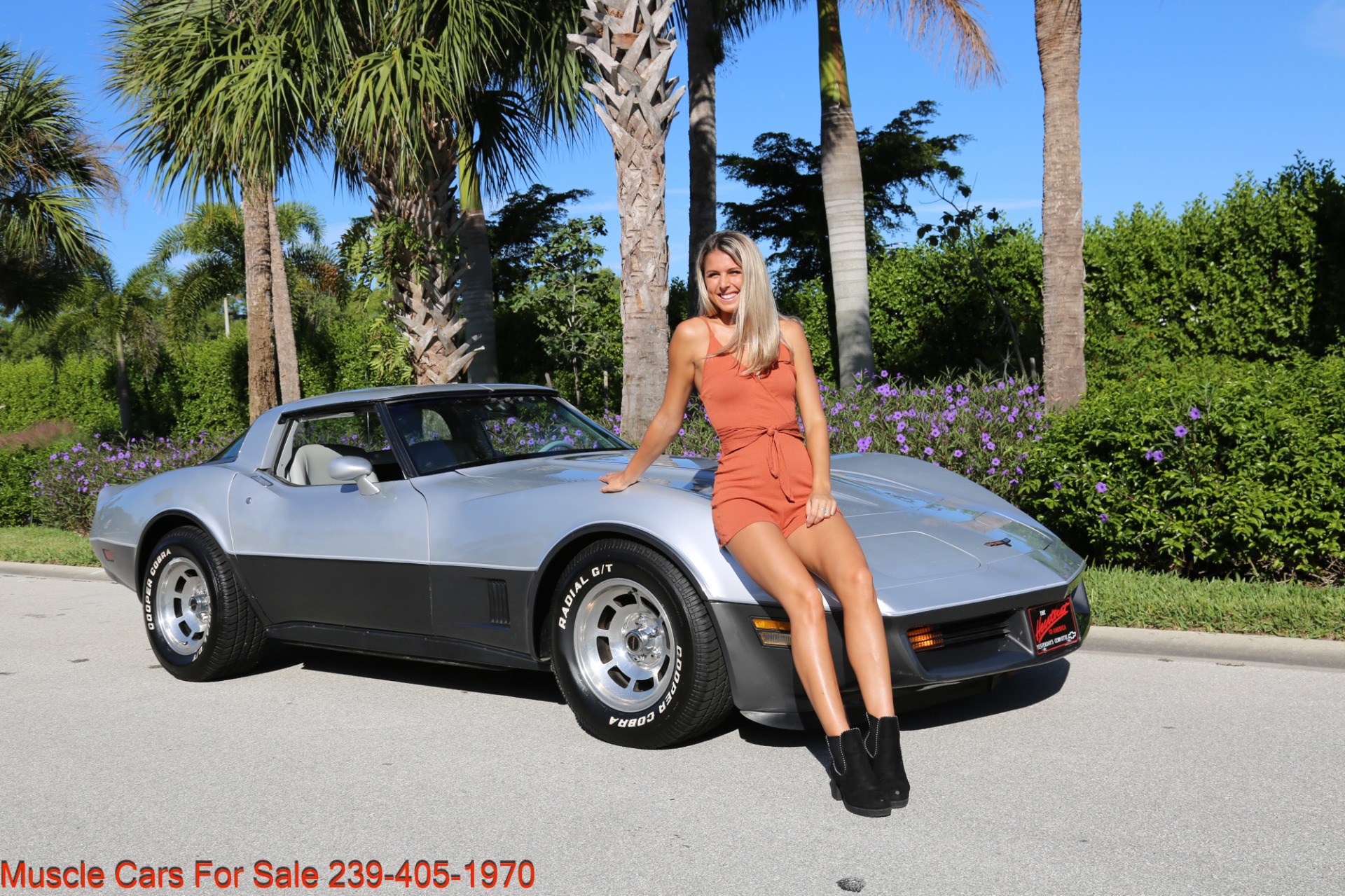 Used 1981 Chevrolet Corvette Corvette T Top for sale Sold at Muscle Cars for Sale Inc. in Fort Myers FL 33912 1