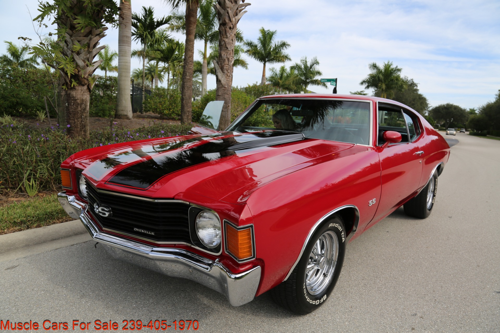 Used 1972 Chevrolet Chevelle SS Chevelle V8 Manual for sale Sold at Muscle Cars for Sale Inc. in Fort Myers FL 33912 5