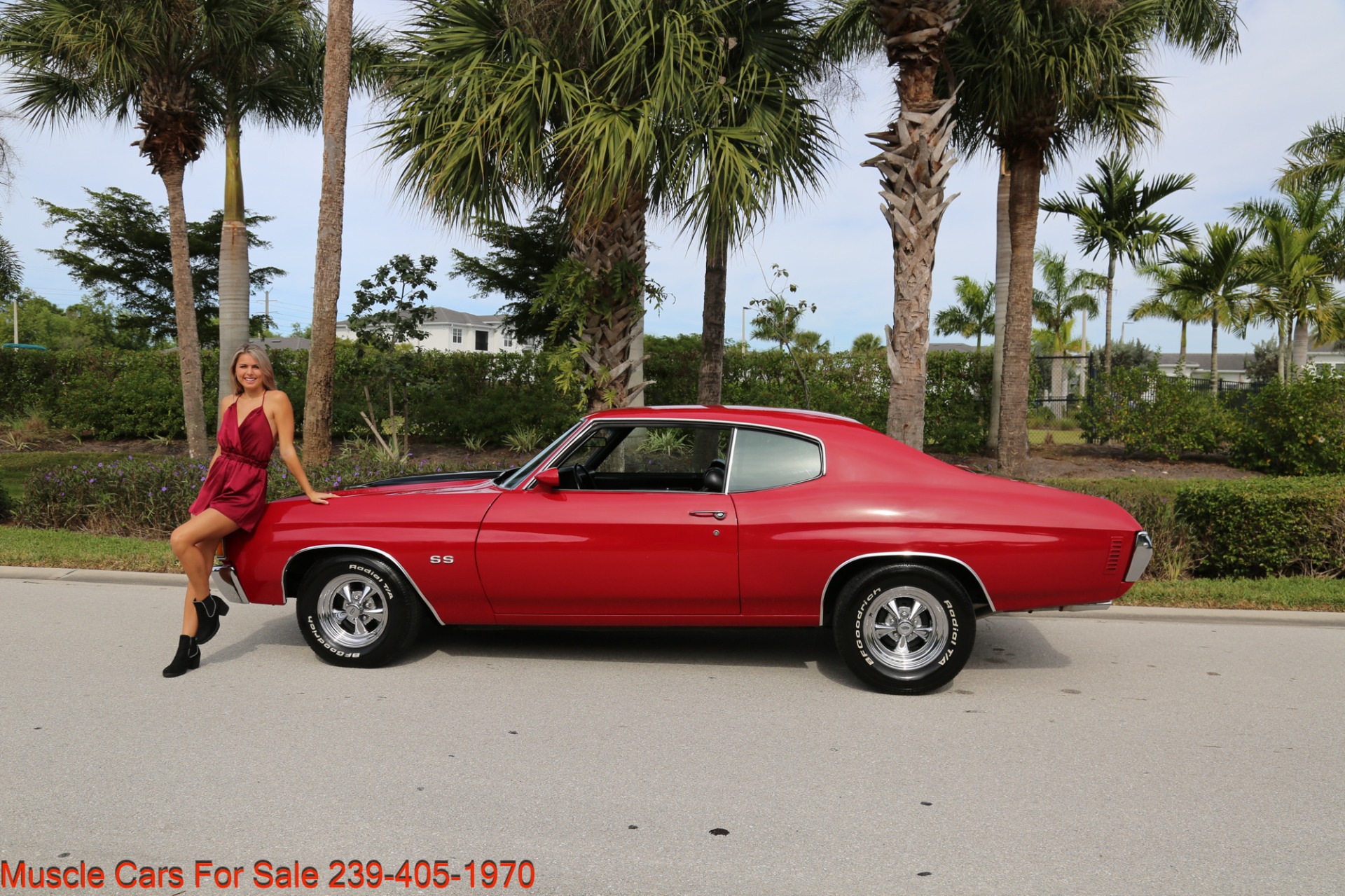 Used 1972 Chevrolet Chevelle SS Chevelle V8 Manual for sale Sold at Muscle Cars for Sale Inc. in Fort Myers FL 33912 6