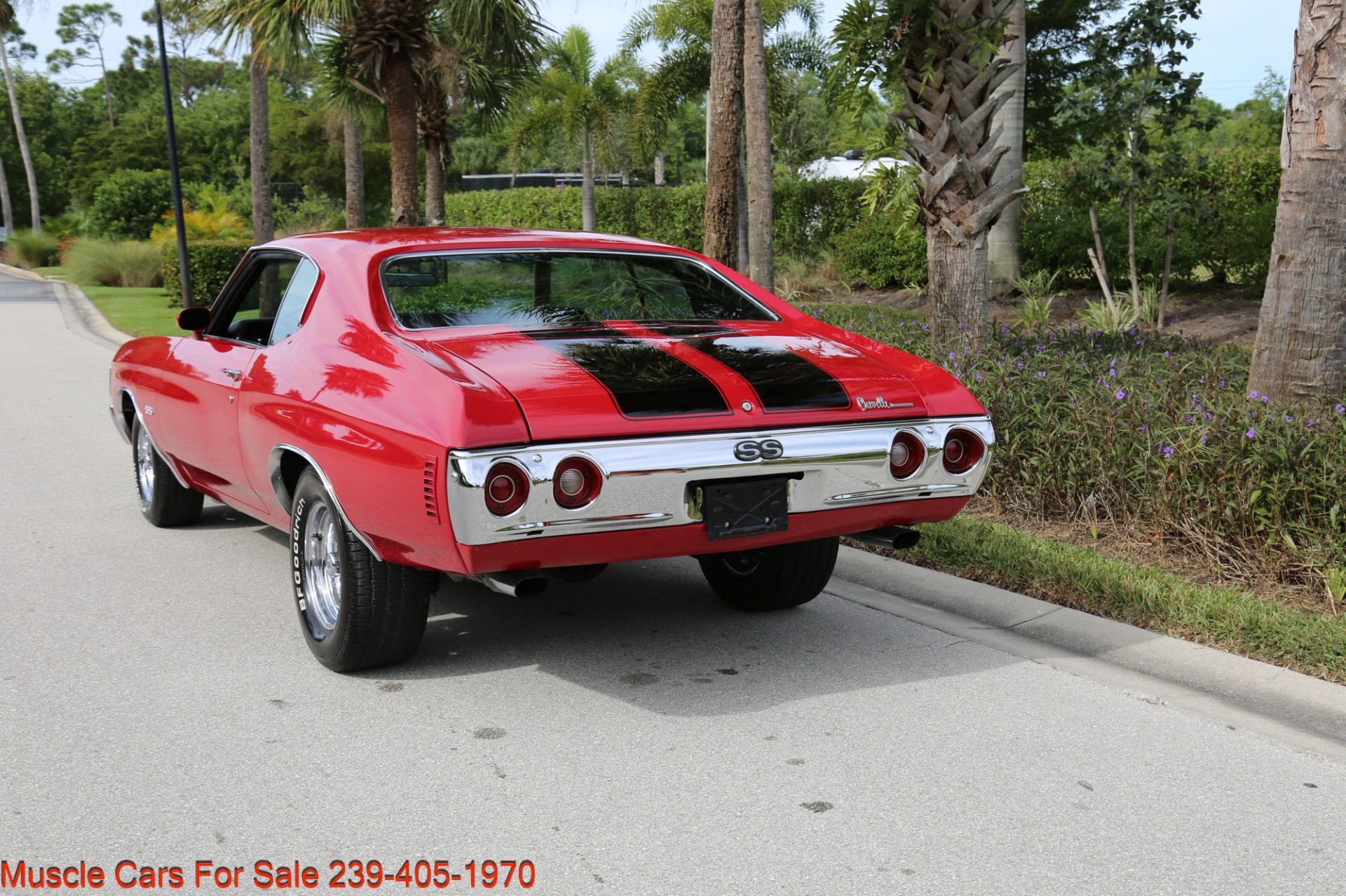 Used 1972 Chevrolet Chevelle SS Chevelle V8 Manual for sale Sold at Muscle Cars for Sale Inc. in Fort Myers FL 33912 7