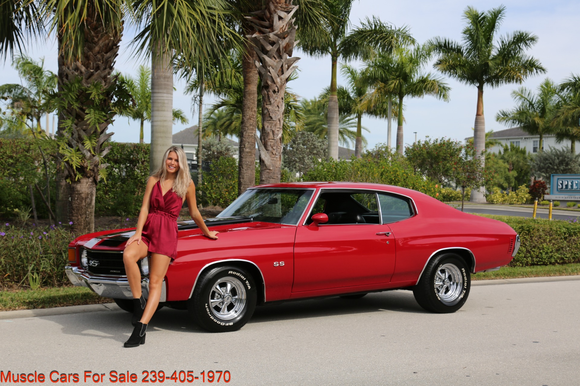 Used 1972 Chevrolet Chevelle SS Chevelle V8 Manual for sale Sold at Muscle Cars for Sale Inc. in Fort Myers FL 33912 1