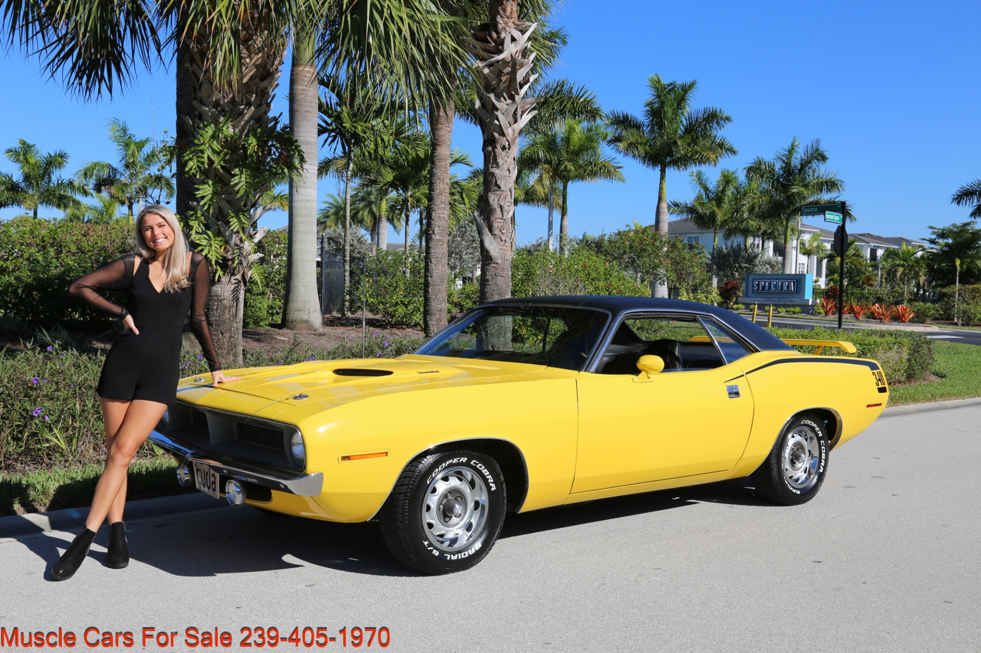 Used 1970 Plymouth Barracuda Cuda Cuda V8 Auto for sale Sold at Muscle Cars for Sale Inc. in Fort Myers FL 33912 6