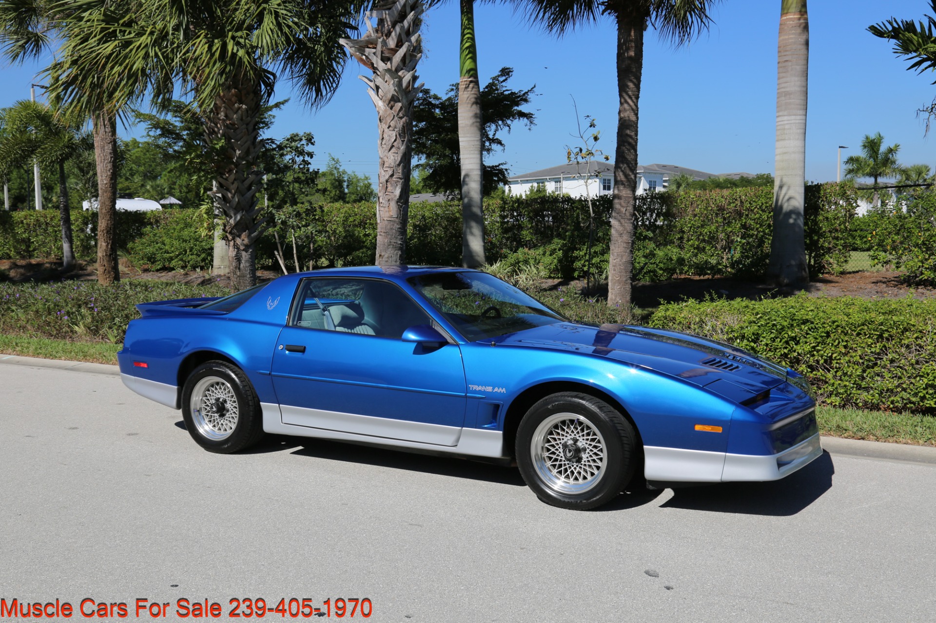 Used 1989 Pontiac Firebird Trans Am WS6 Trans Am for sale Sold at Muscle Cars for Sale Inc. in Fort Myers FL 33912 2