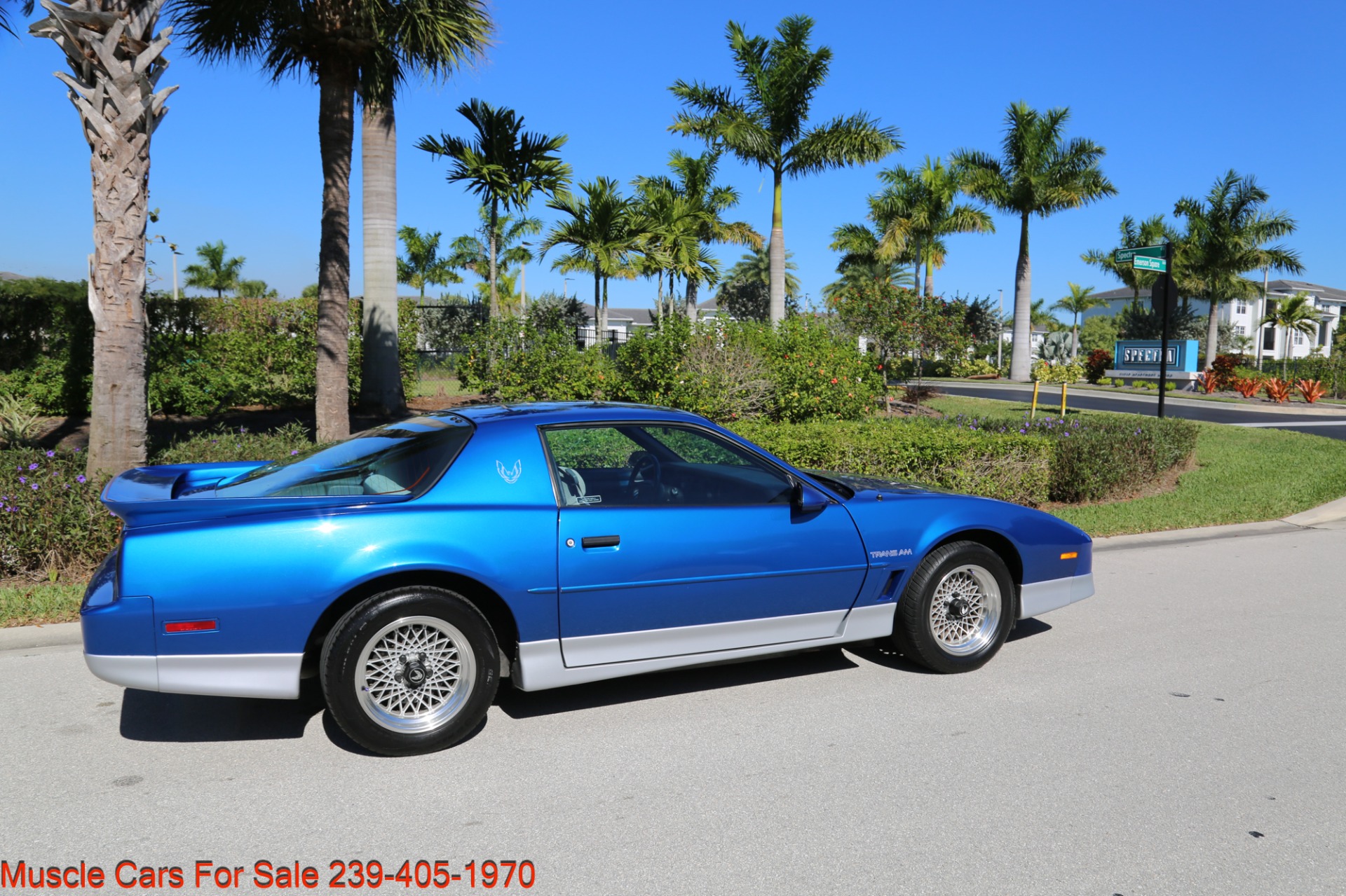 Used 1989 Pontiac Firebird Trans Am WS6 Trans Am for sale Sold at Muscle Cars for Sale Inc. in Fort Myers FL 33912 7