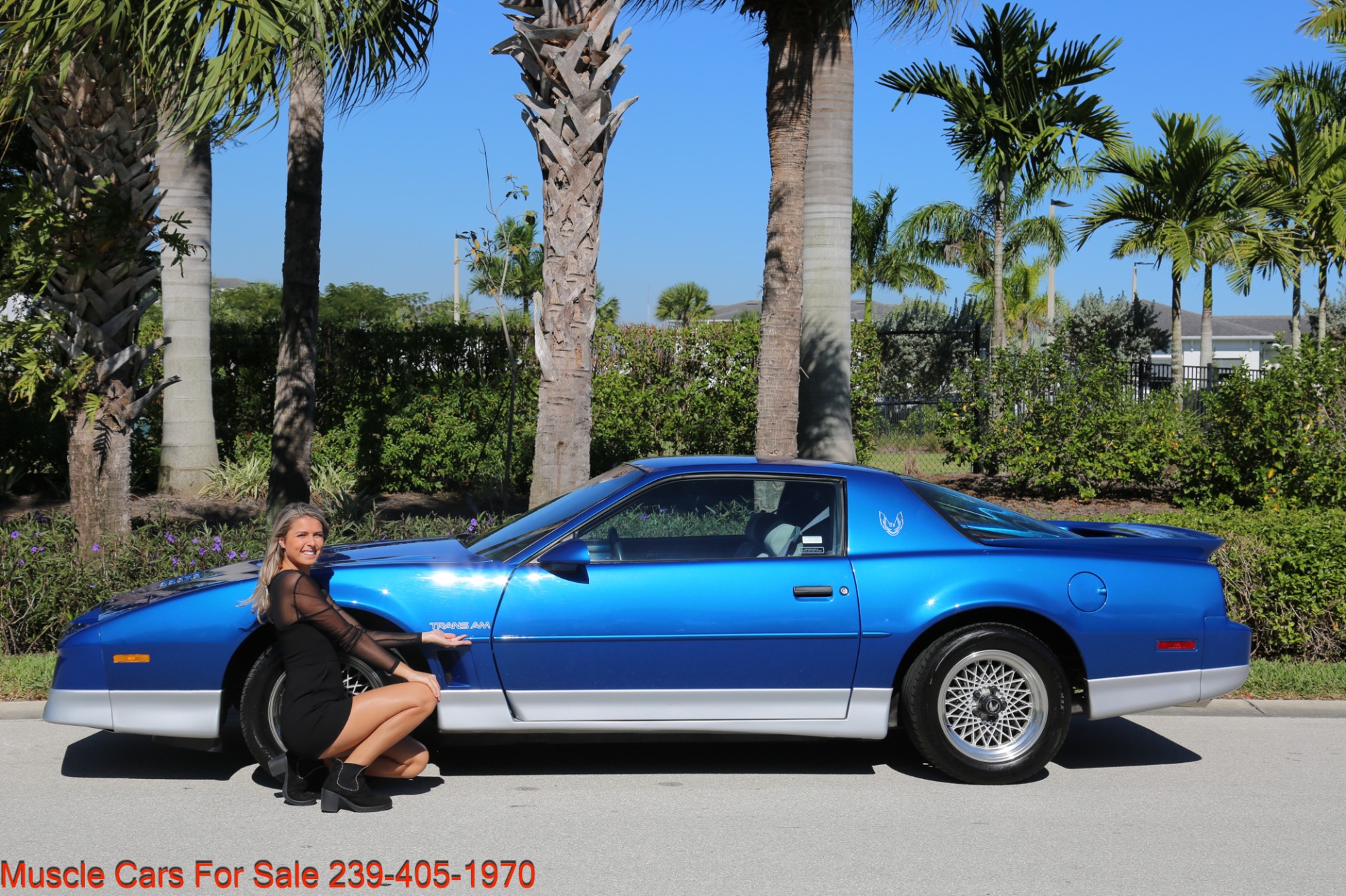 Used 1989 Pontiac Firebird Trans Am WS6 Trans Am for sale Sold at Muscle Cars for Sale Inc. in Fort Myers FL 33912 8