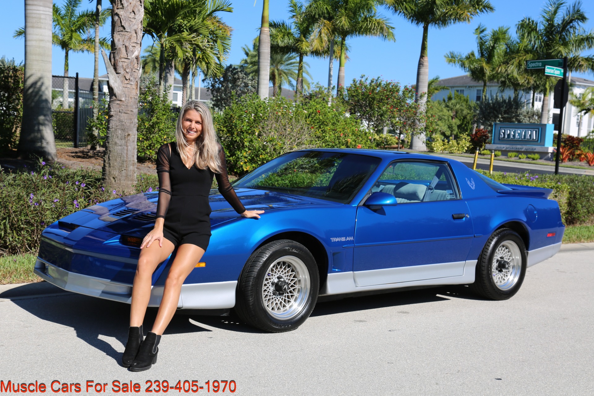 Used 1989 Pontiac Firebird Trans Am WS6 Trans Am for sale Sold at Muscle Cars for Sale Inc. in Fort Myers FL 33912 1