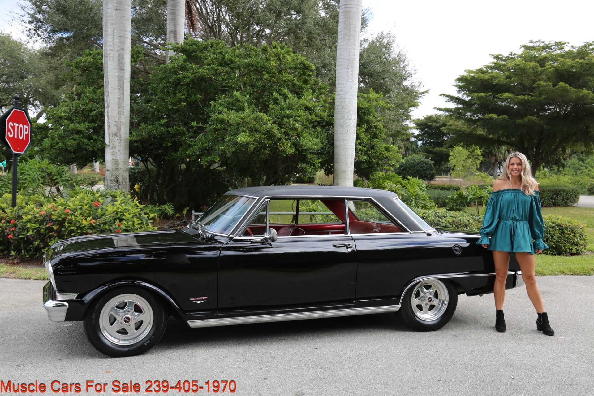 Used 1964 Chevrolet Nova Nova SS for sale Sold at Muscle Cars for Sale Inc. in Fort Myers FL 33912 2