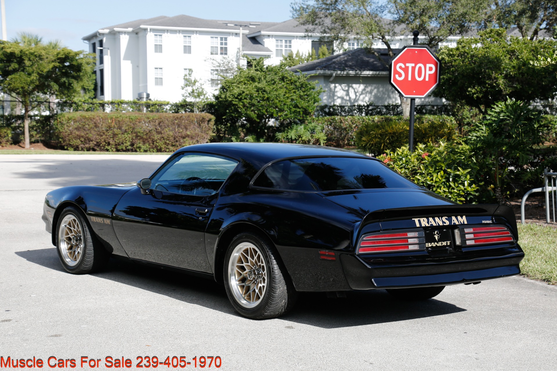 Used 1977 Pontiac Firebird Espirit Firebird Trans Am for sale Sold at Muscle Cars for Sale Inc. in Fort Myers FL 33912 2
