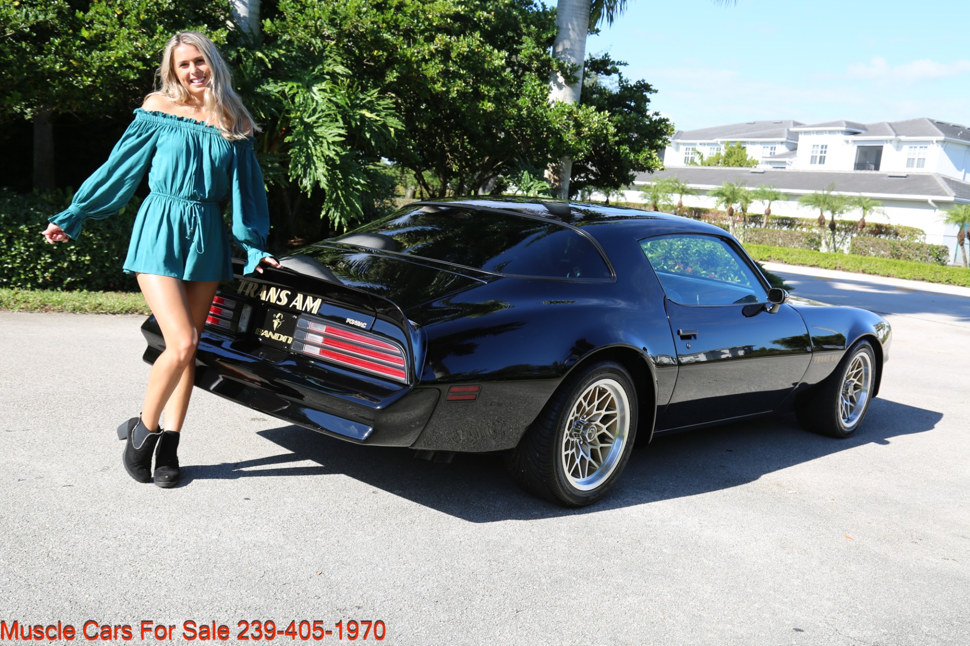 Used 1977 Pontiac Firebird Espirit Firebird Trans Am for sale Sold at Muscle Cars for Sale Inc. in Fort Myers FL 33912 3