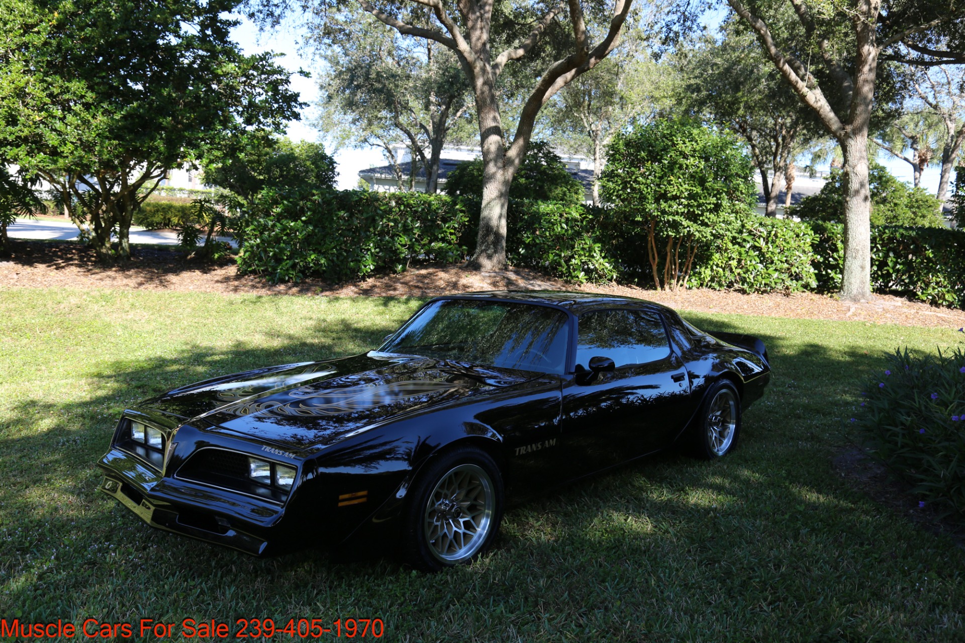 Used 1977 Pontiac Firebird Espirit Firebird Trans Am for sale Sold at Muscle Cars for Sale Inc. in Fort Myers FL 33912 4