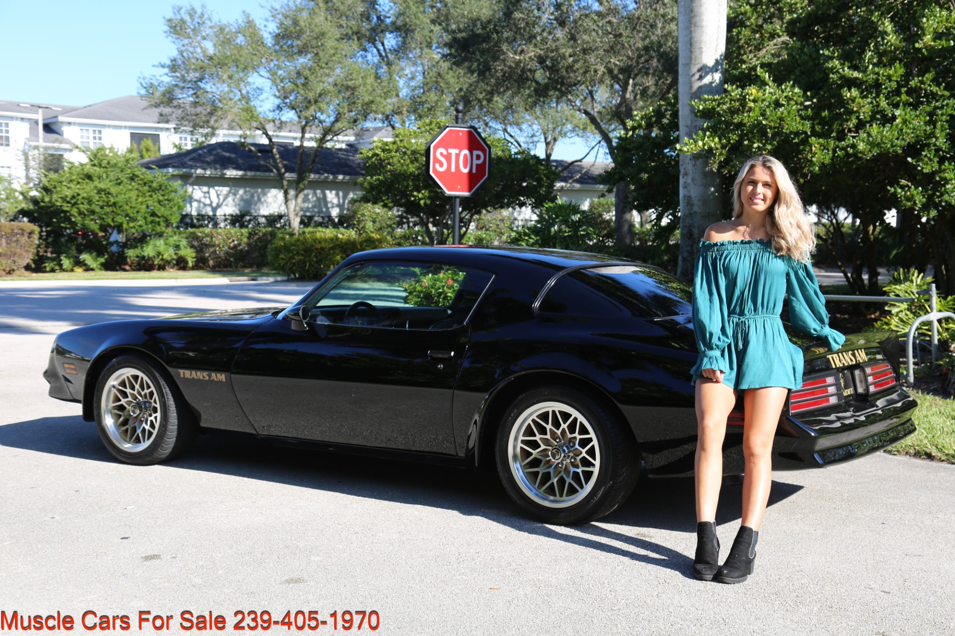 Used 1977 Pontiac Firebird Espirit Firebird Trans Am for sale Sold at Muscle Cars for Sale Inc. in Fort Myers FL 33912 5