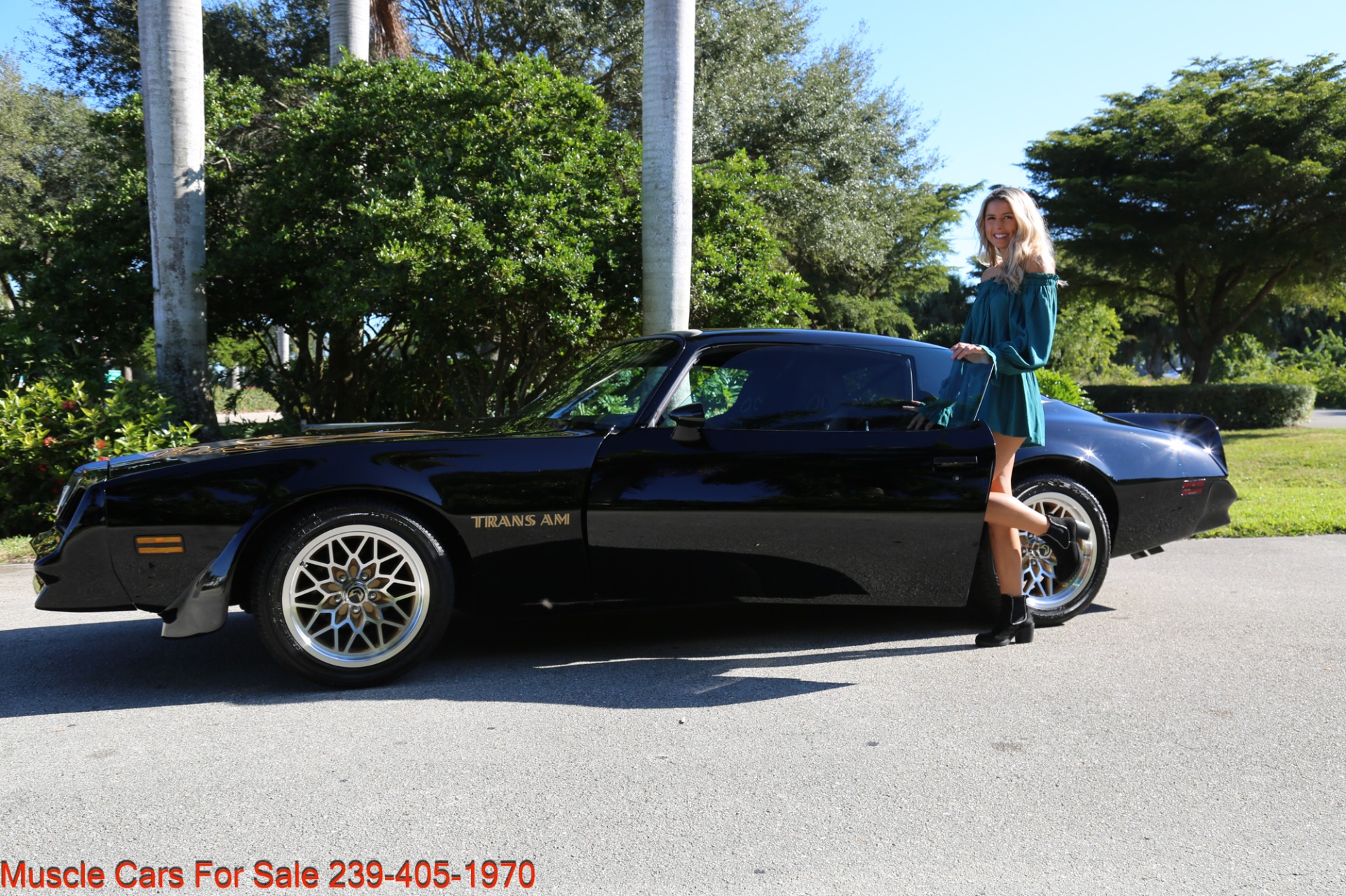 Used 1977 Pontiac Firebird Espirit Firebird Trans Am for sale Sold at Muscle Cars for Sale Inc. in Fort Myers FL 33912 6