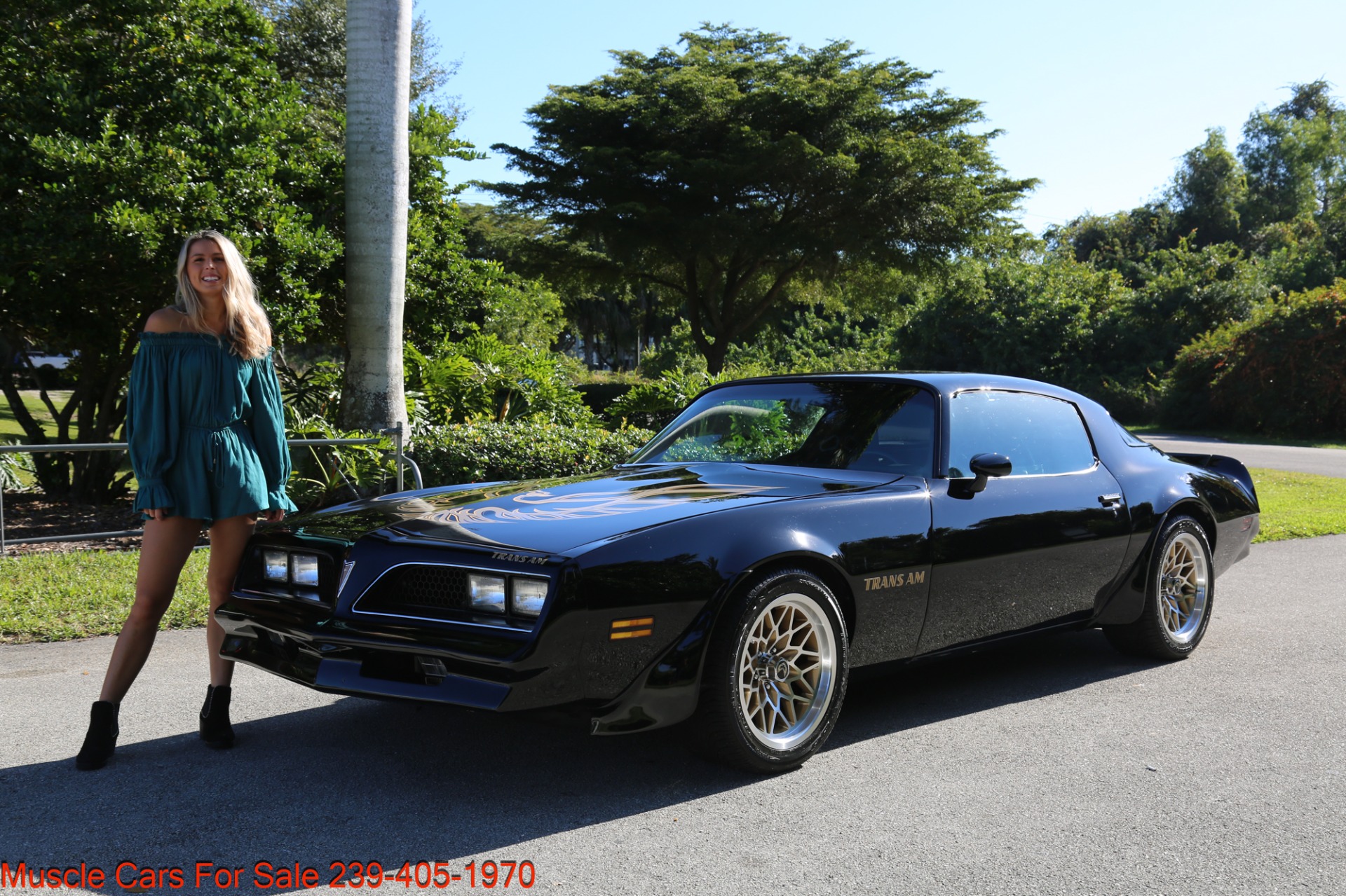 Used 1977 Pontiac Firebird Espirit Firebird Trans Am for sale Sold at Muscle Cars for Sale Inc. in Fort Myers FL 33912 7