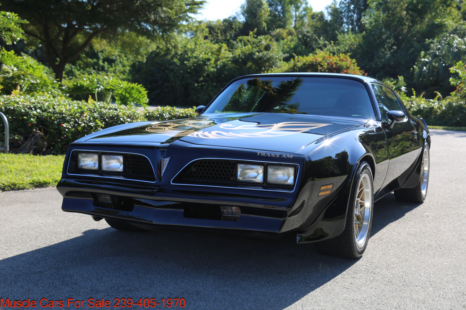 Used 1977 Pontiac Firebird Espirit Firebird Trans Am for sale Sold at Muscle Cars for Sale Inc. in Fort Myers FL 33912 8