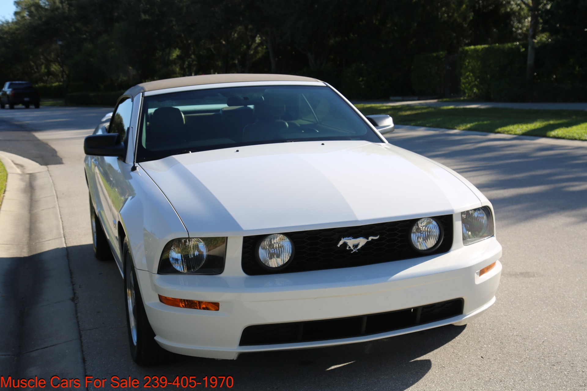 Used 2005 Ford Mustang GT for sale Sold at Muscle Cars for Sale Inc. in Fort Myers FL 33912 3