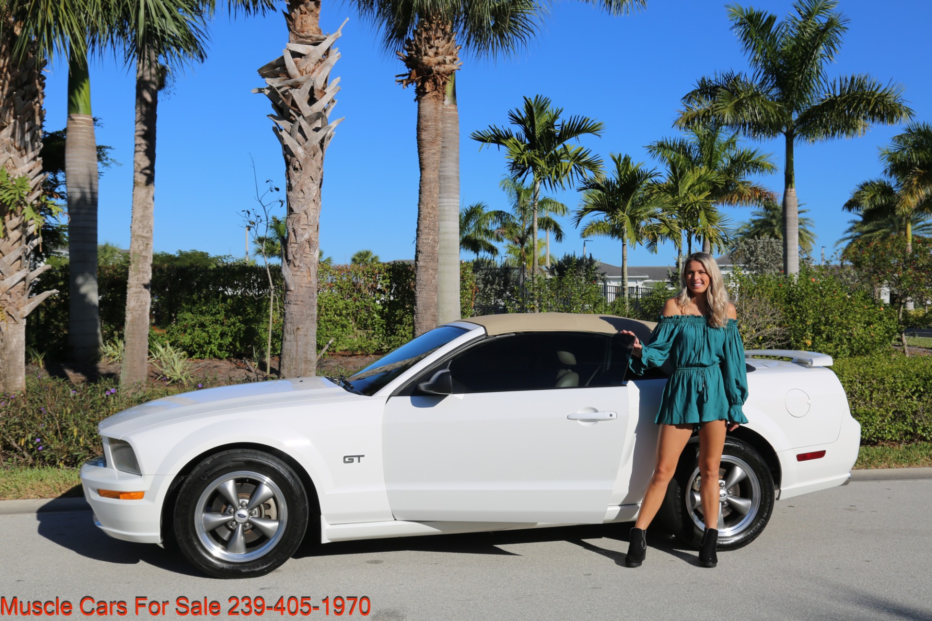 Used 2005 Ford Mustang GT for sale Sold at Muscle Cars for Sale Inc. in Fort Myers FL 33912 5