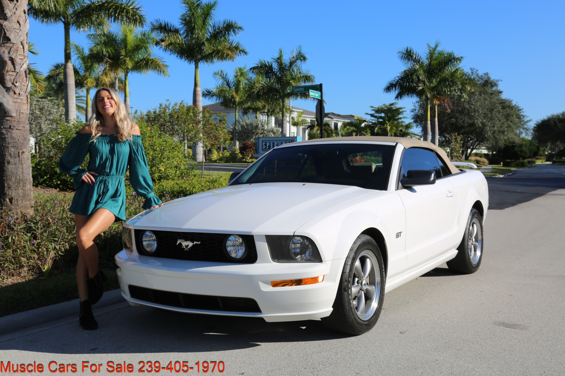Used 2005 Ford Mustang GT for sale Sold at Muscle Cars for Sale Inc. in Fort Myers FL 33912 7