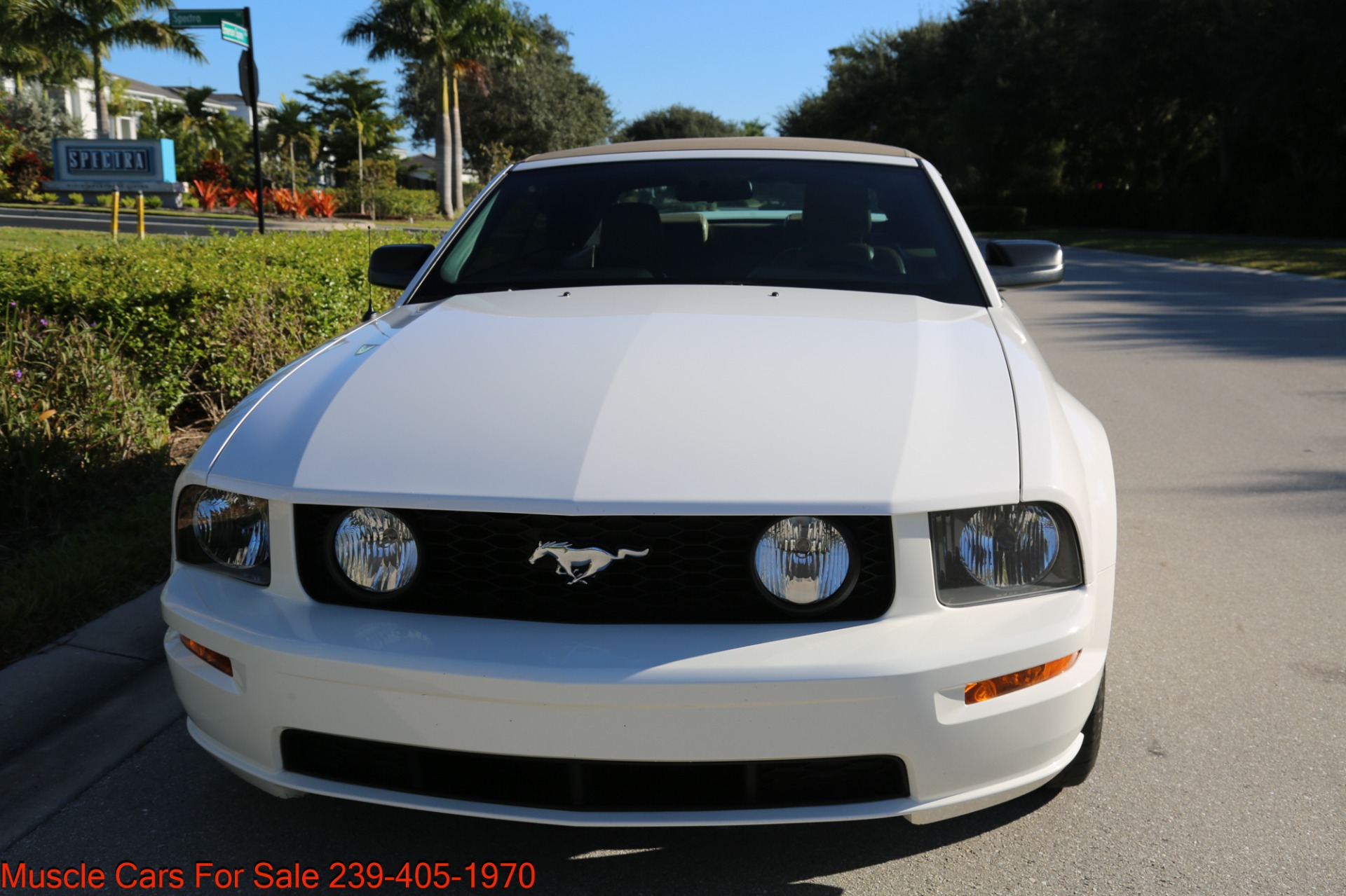 Used 2005 Ford Mustang GT for sale Sold at Muscle Cars for Sale Inc. in Fort Myers FL 33912 8
