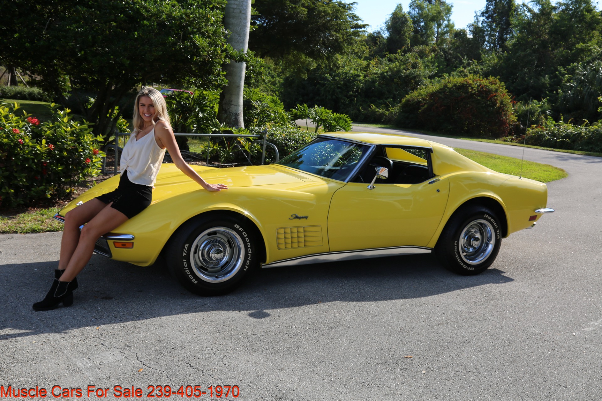 Used 1970 Chevrolet Corvette Stingray for sale Sold at Muscle Cars for Sale Inc. in Fort Myers FL 33912 2