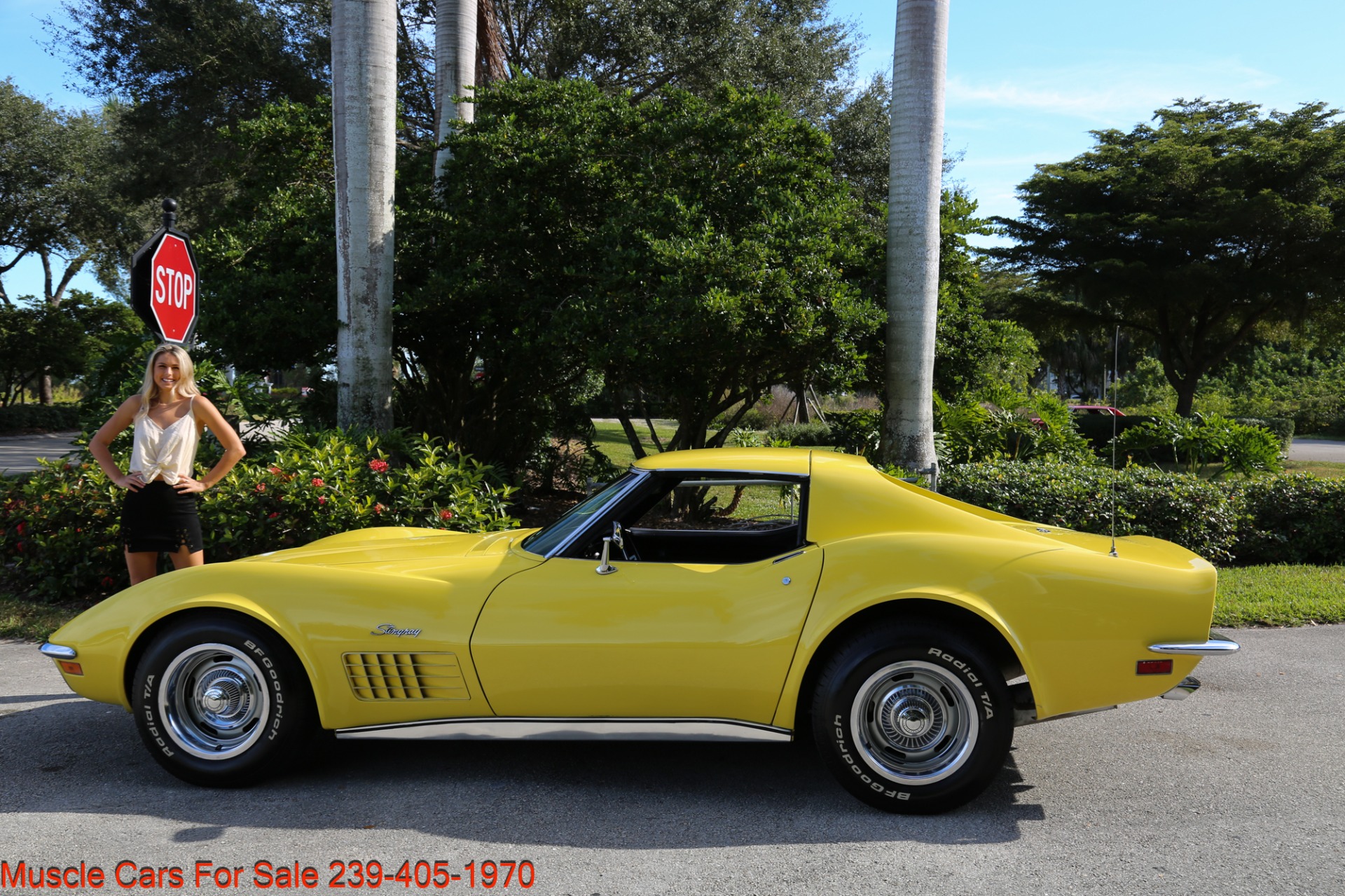Used 1970 Chevrolet Corvette Stingray for sale Sold at Muscle Cars for Sale Inc. in Fort Myers FL 33912 3