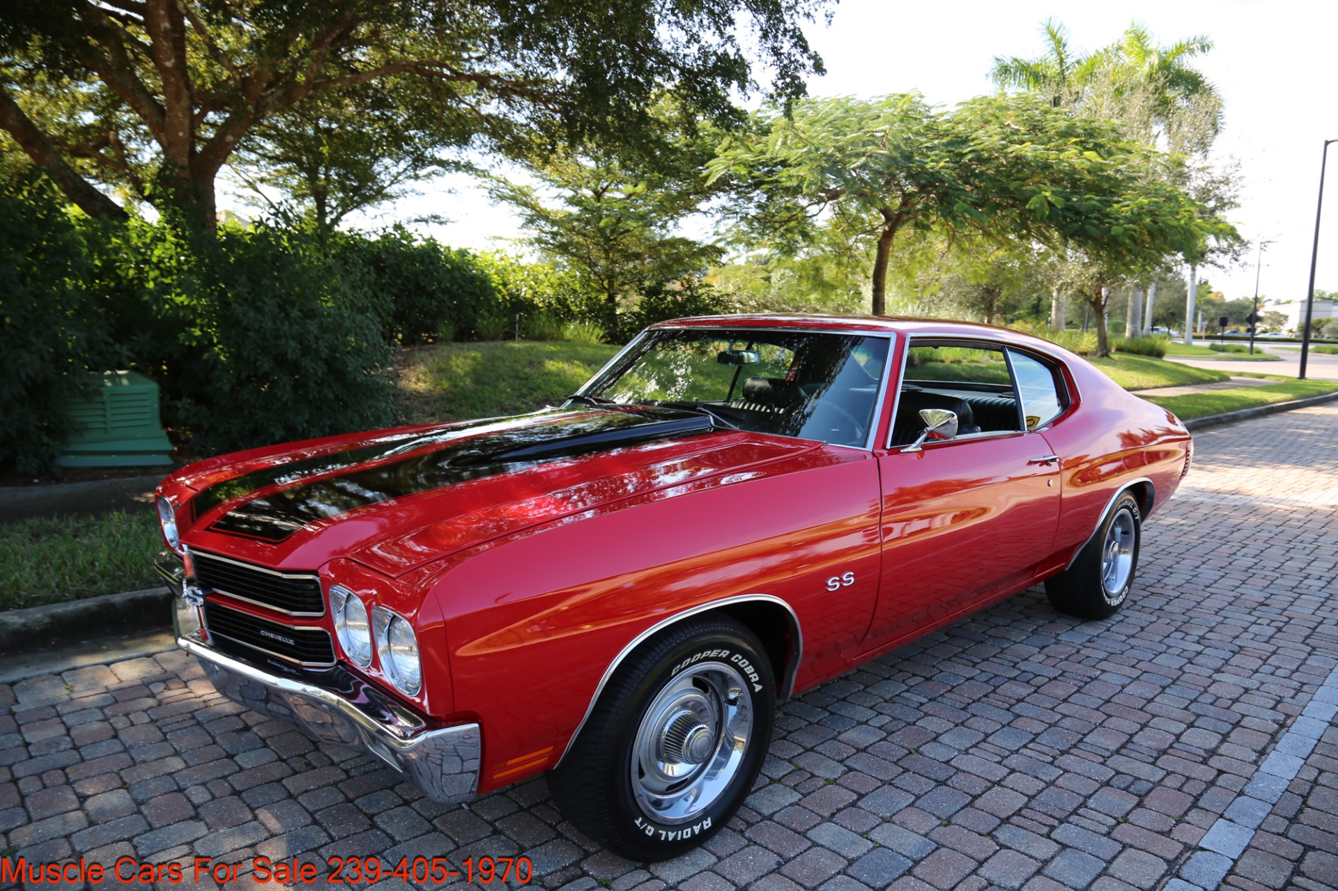 Used 1970 Chevrolet Chevelle SS for sale Sold at Muscle Cars for Sale Inc. in Fort Myers FL 33912 5
