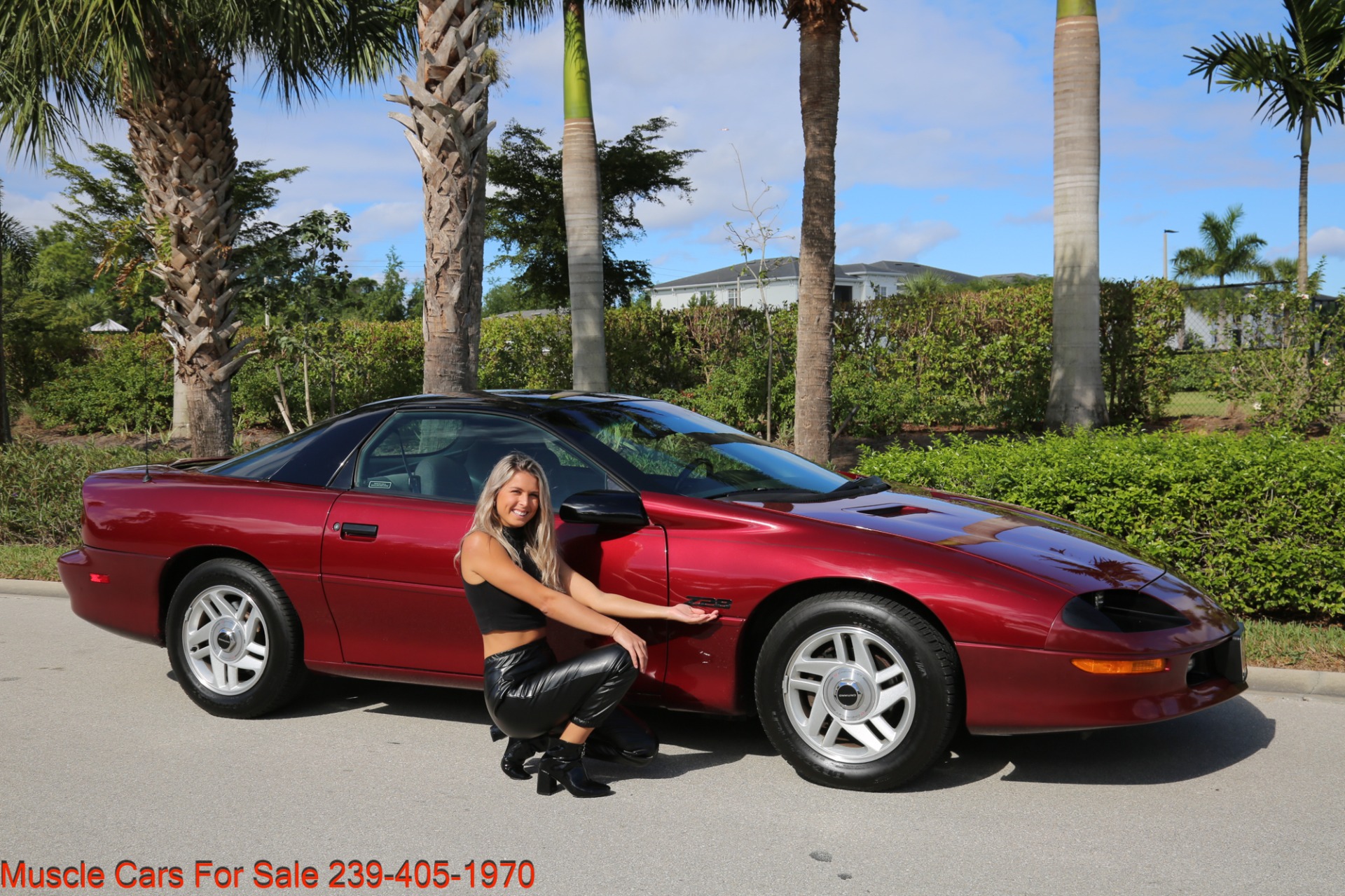 Used 1995 Chevrolet Camaro Z28 for sale Sold at Muscle Cars for Sale Inc. in Fort Myers FL 33912 2