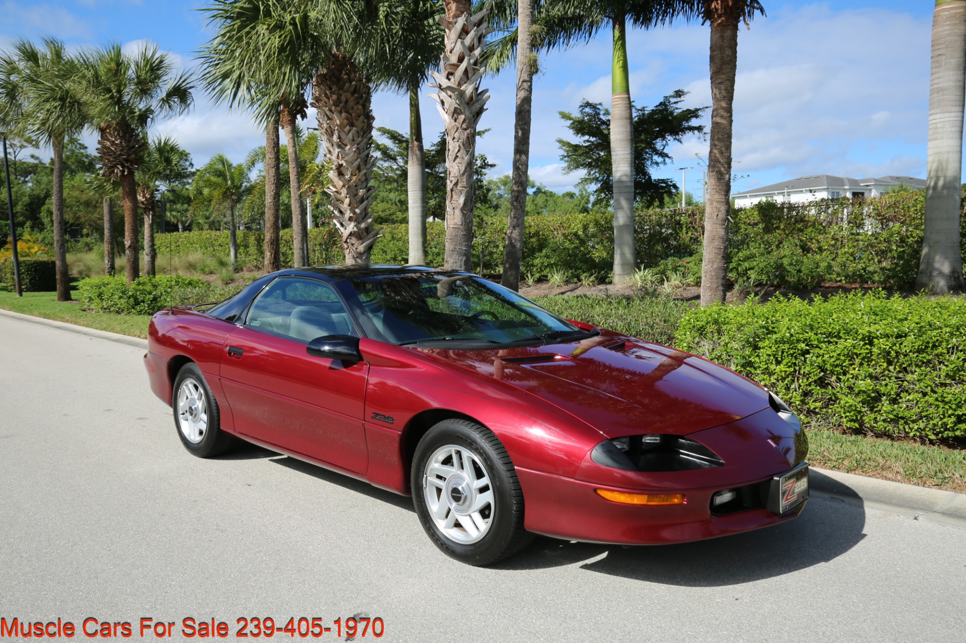 Used 1995 Chevrolet Camaro Z28 for sale Sold at Muscle Cars for Sale Inc. in Fort Myers FL 33912 3
