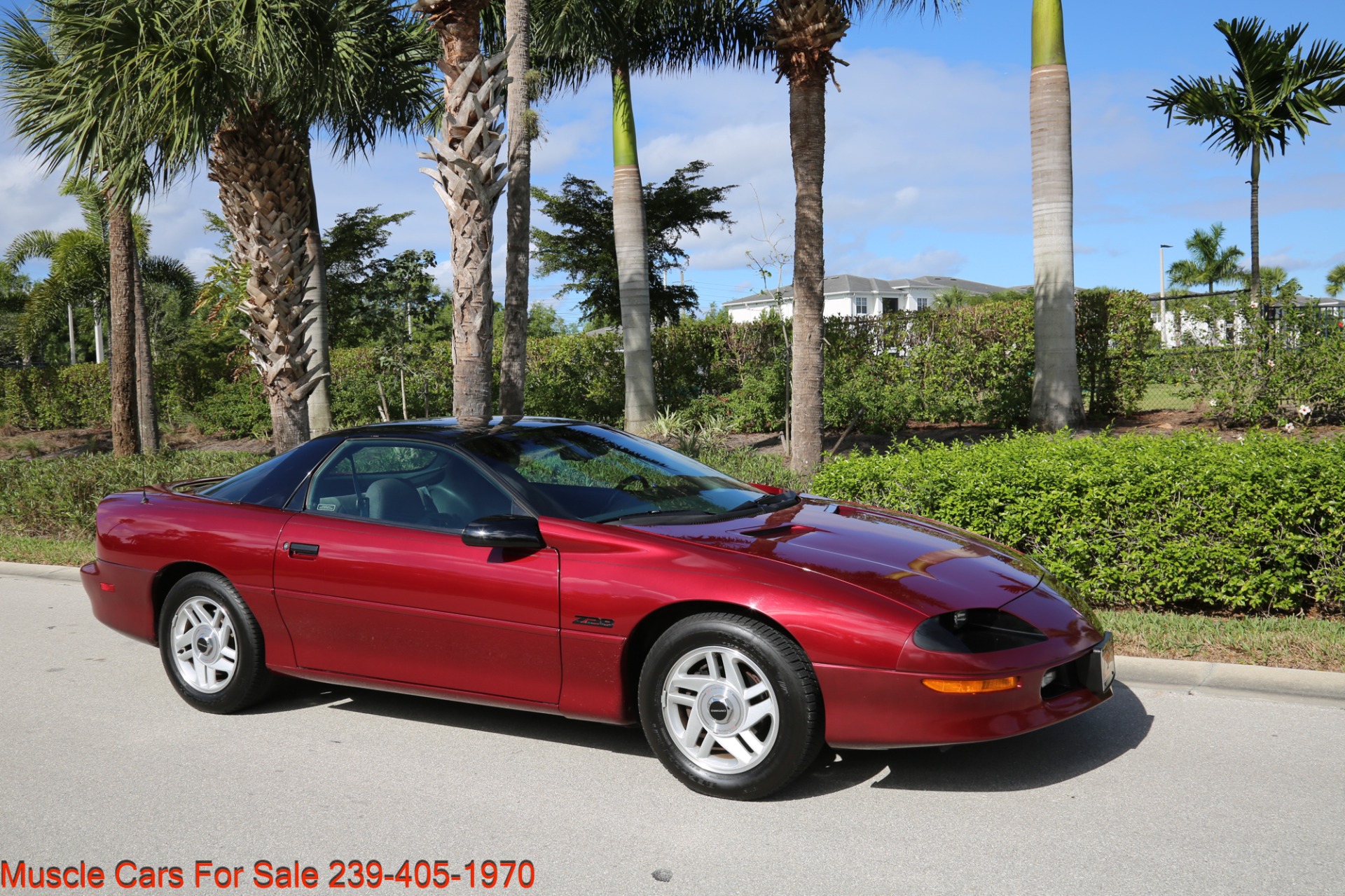 Used 1995 Chevrolet Camaro Z28 for sale Sold at Muscle Cars for Sale Inc. in Fort Myers FL 33912 6
