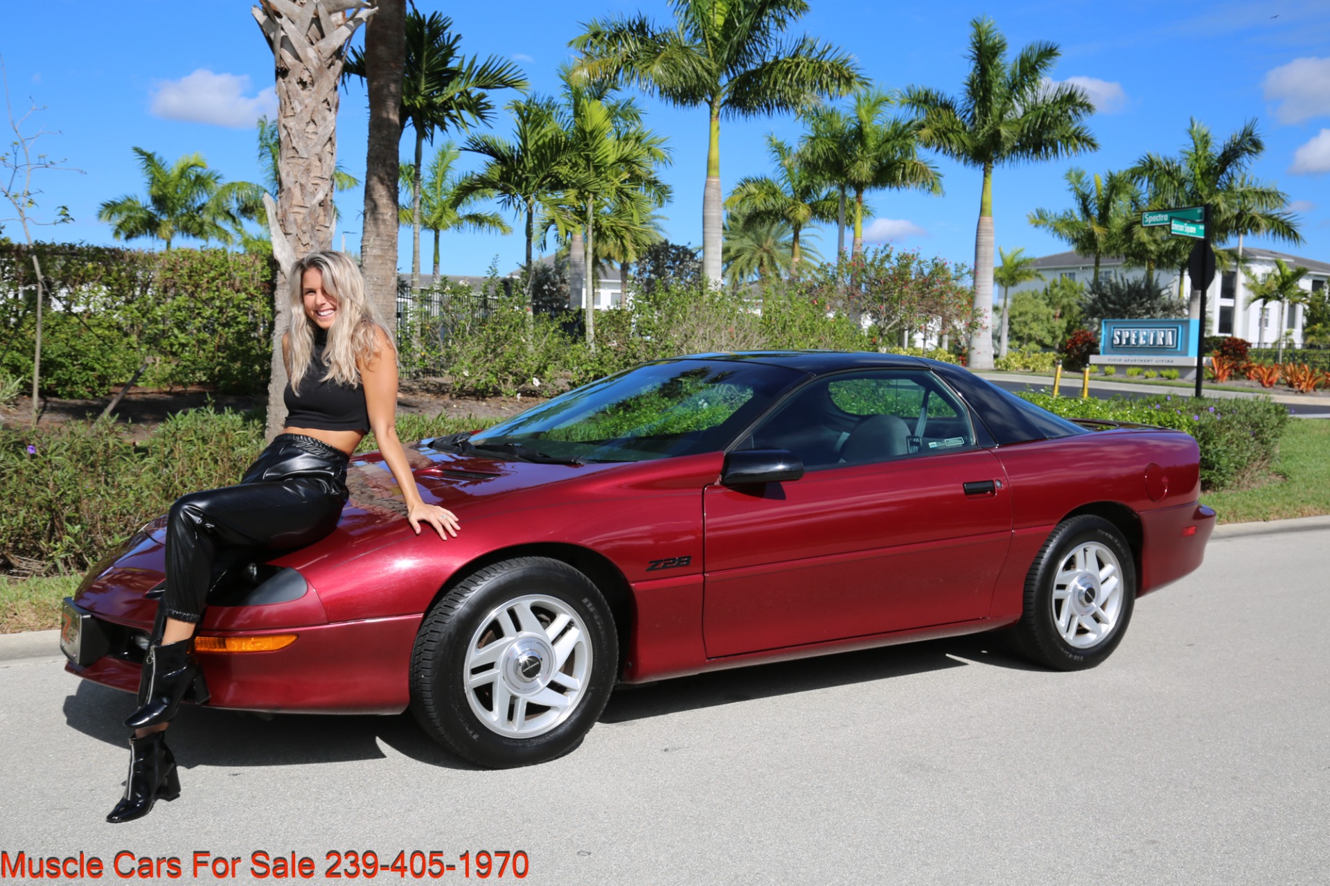 Used 1995 Chevrolet Camaro Z28 For Sale ($14,000) | Muscle Cars for Sale  Inc. Stock #2260