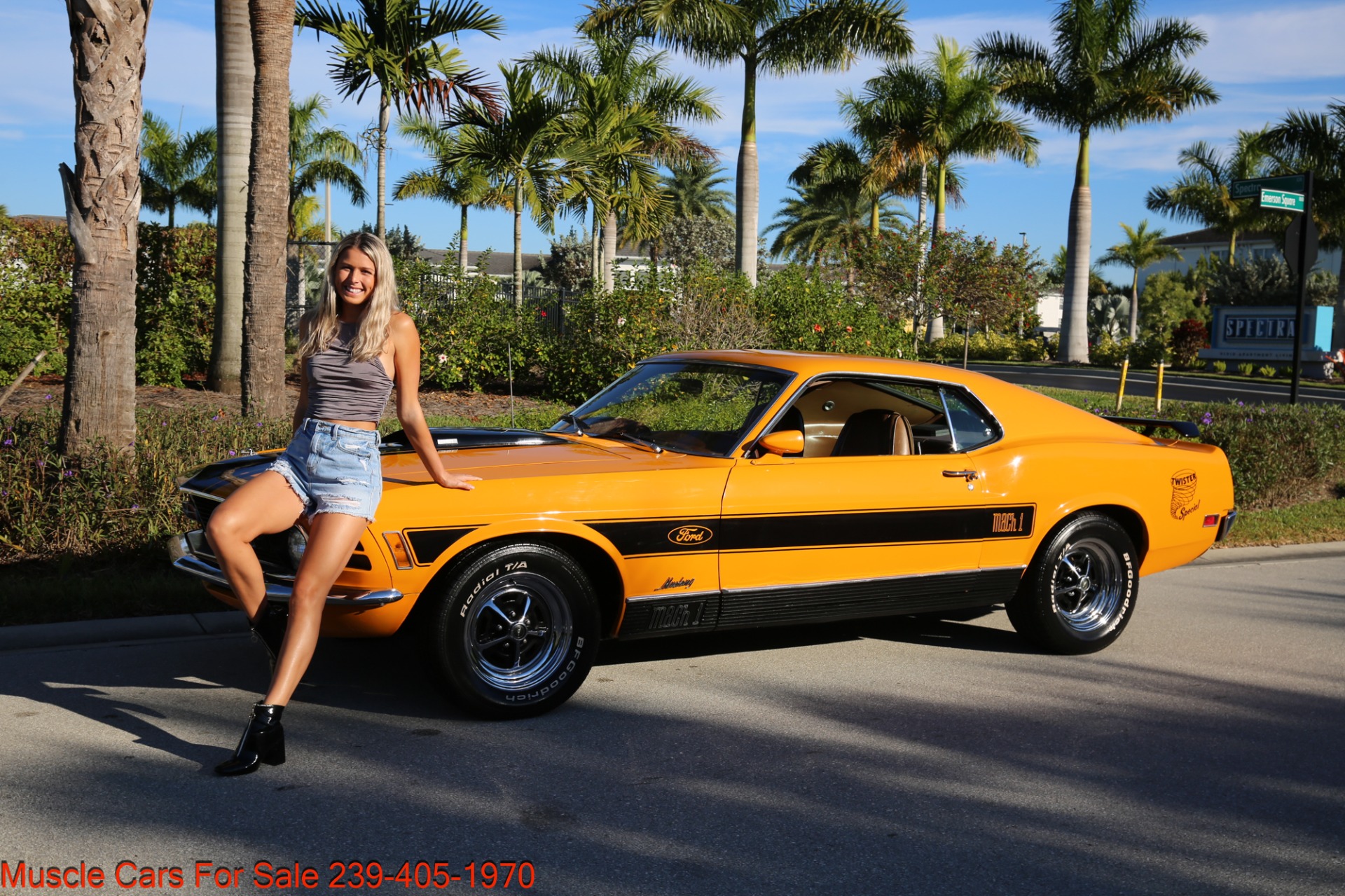 Used 1970 Ford Mustang Fastback for sale Sold at Muscle Cars for Sale Inc. in Fort Myers FL 33912 1