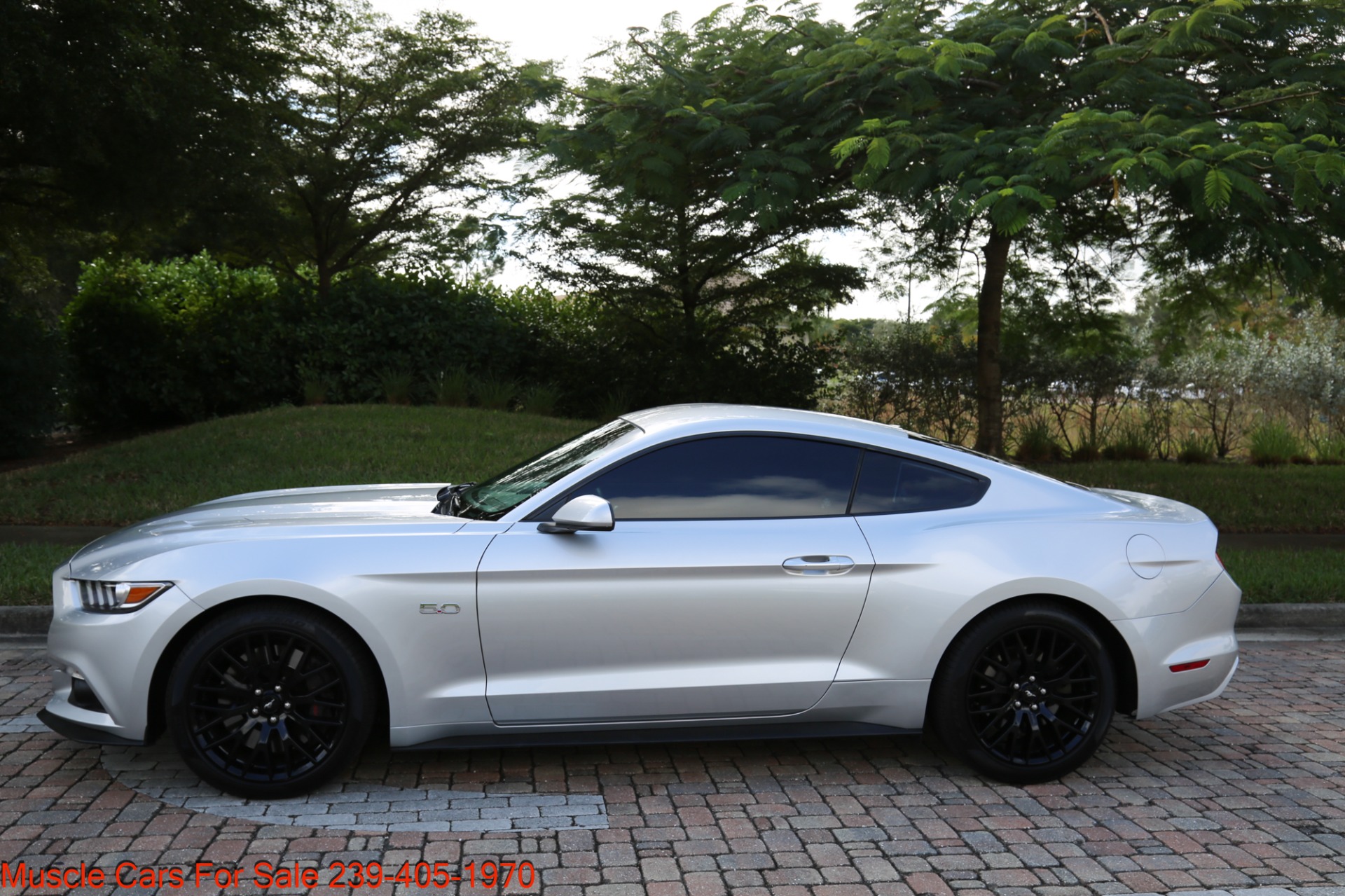 Used 2017 Ford Mustang GT Premium for sale Sold at Muscle Cars for Sale Inc. in Fort Myers FL 33912 3