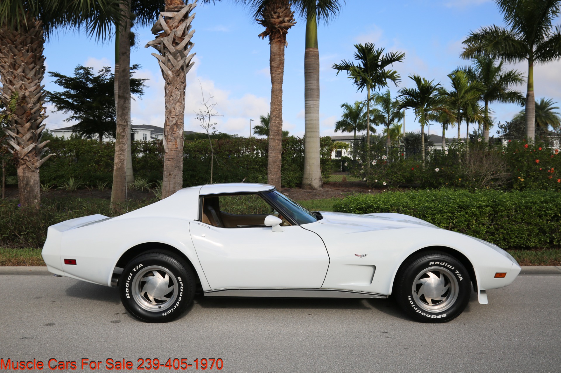 Used 1977 Chevrolet Corvette Corvette for sale Sold at Muscle Cars for Sale Inc. in Fort Myers FL 33912 5