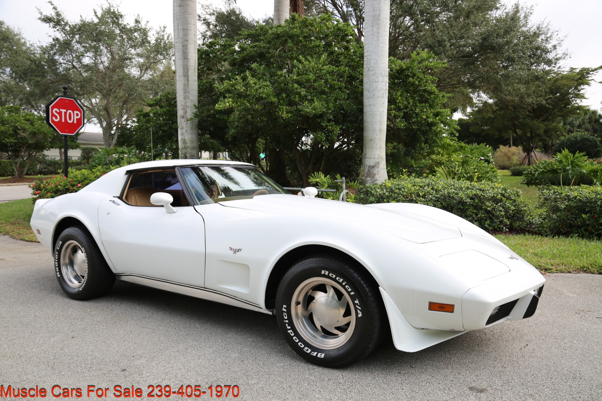 Used 1977 Chevrolet Corvette Corvette for sale Sold at Muscle Cars for Sale Inc. in Fort Myers FL 33912 6