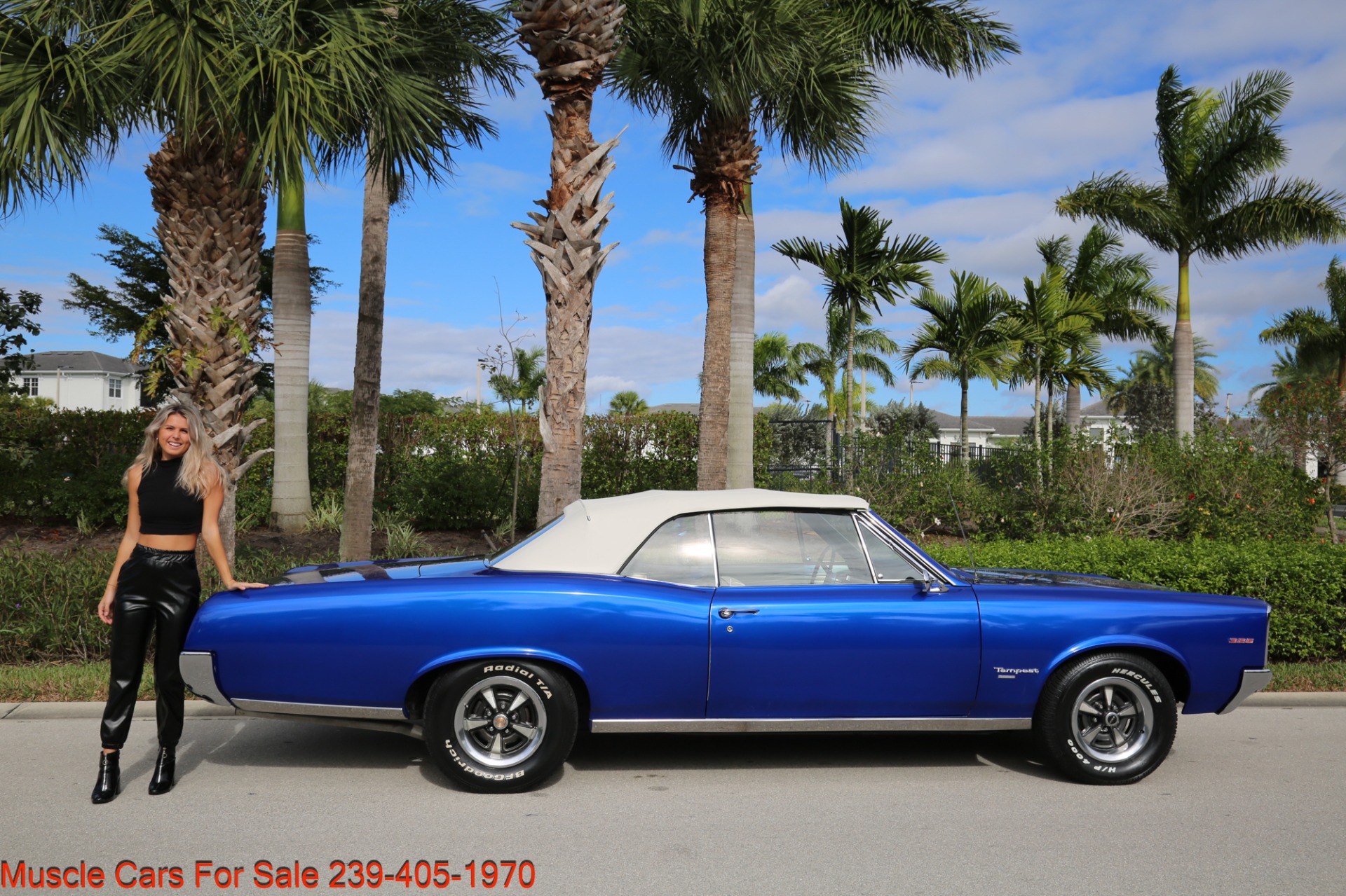 Used 1967 Pontiac Tempest Convertible for sale Sold at Muscle Cars for Sale Inc. in Fort Myers FL 33912 3