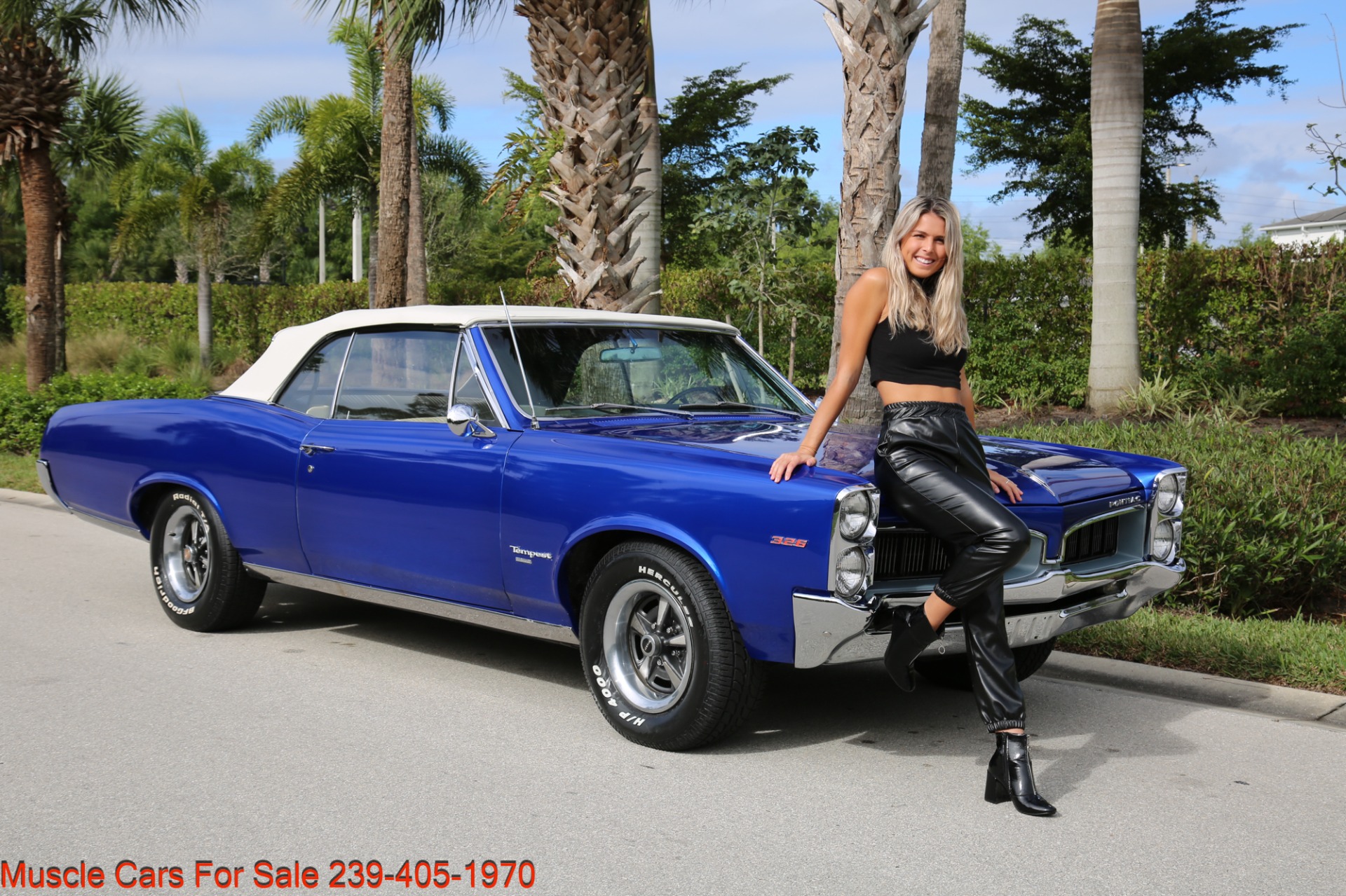 Used 1967 Pontiac Tempest Convertible for sale Sold at Muscle Cars for Sale Inc. in Fort Myers FL 33912 4