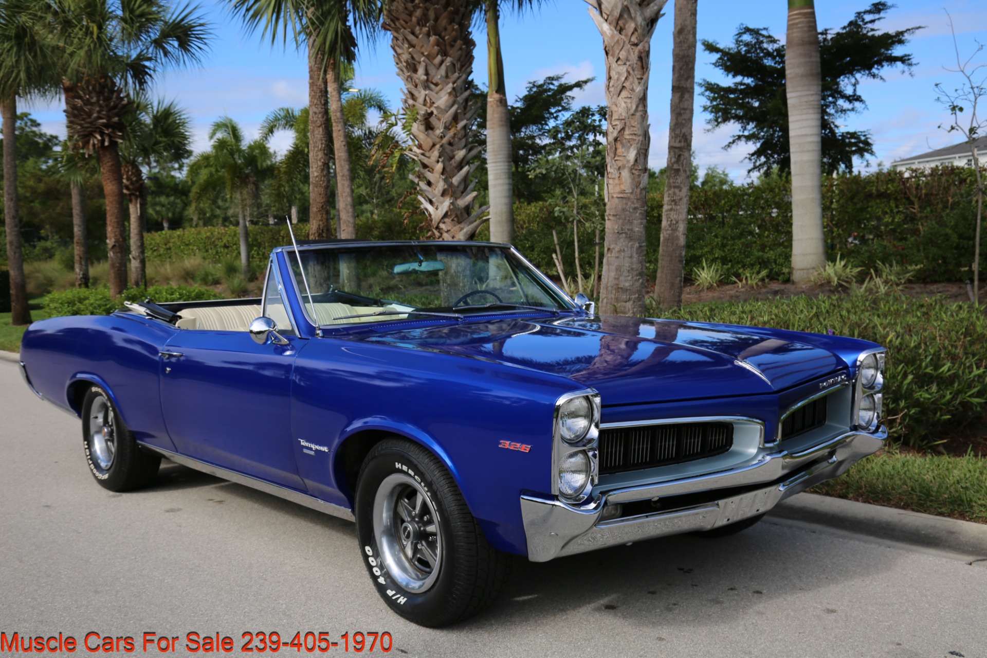 Used 1967 Pontiac Tempest Convertible for sale Sold at Muscle Cars for Sale Inc. in Fort Myers FL 33912 7