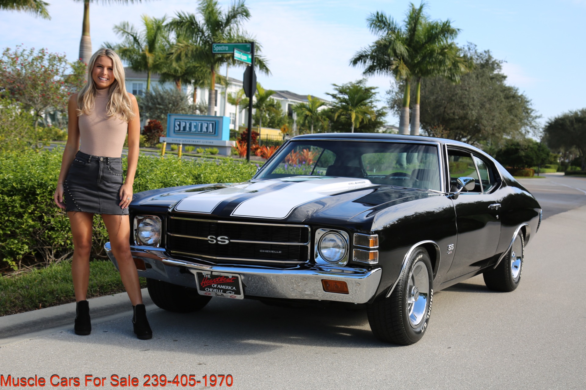 Used 1971 Chevrolet Chevelle SS 454 for sale Sold at Muscle Cars for Sale Inc. in Fort Myers FL 33912 5