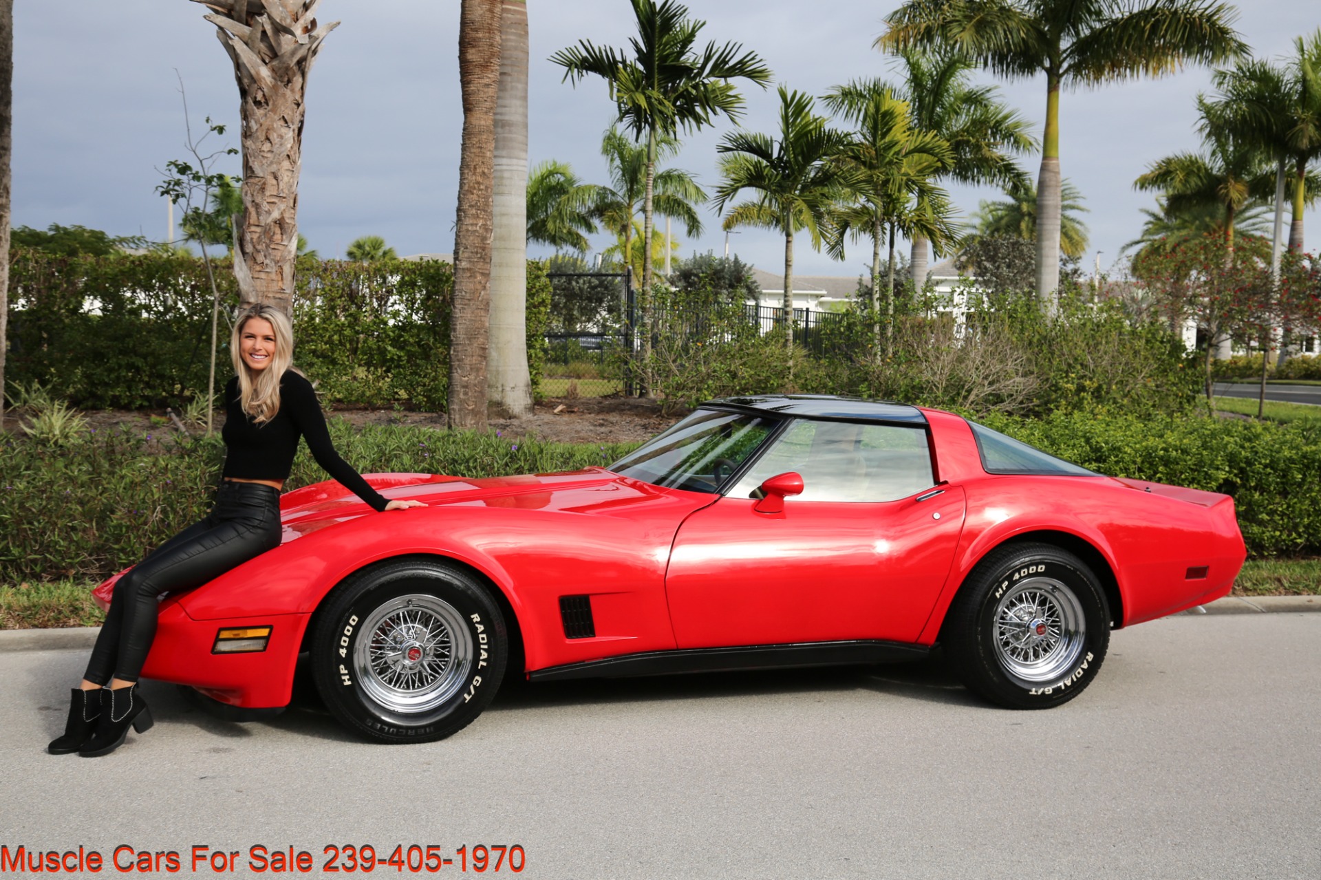 Used 1981 Chevrolet Corvette T Top for sale Sold at Muscle Cars for Sale Inc. in Fort Myers FL 33912 2