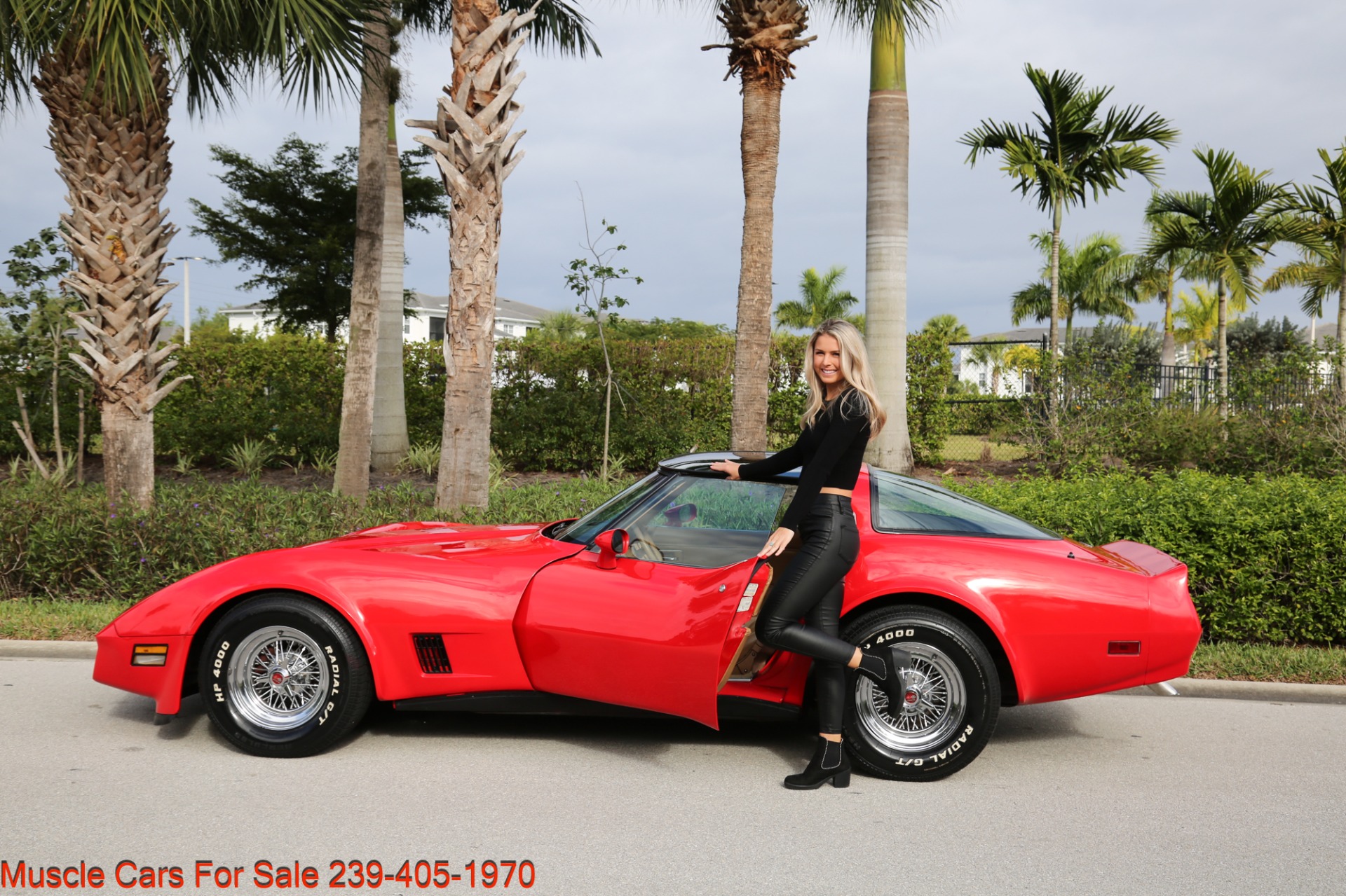 Used 1981 Chevrolet Corvette T Top for sale Sold at Muscle Cars for Sale Inc. in Fort Myers FL 33912 3