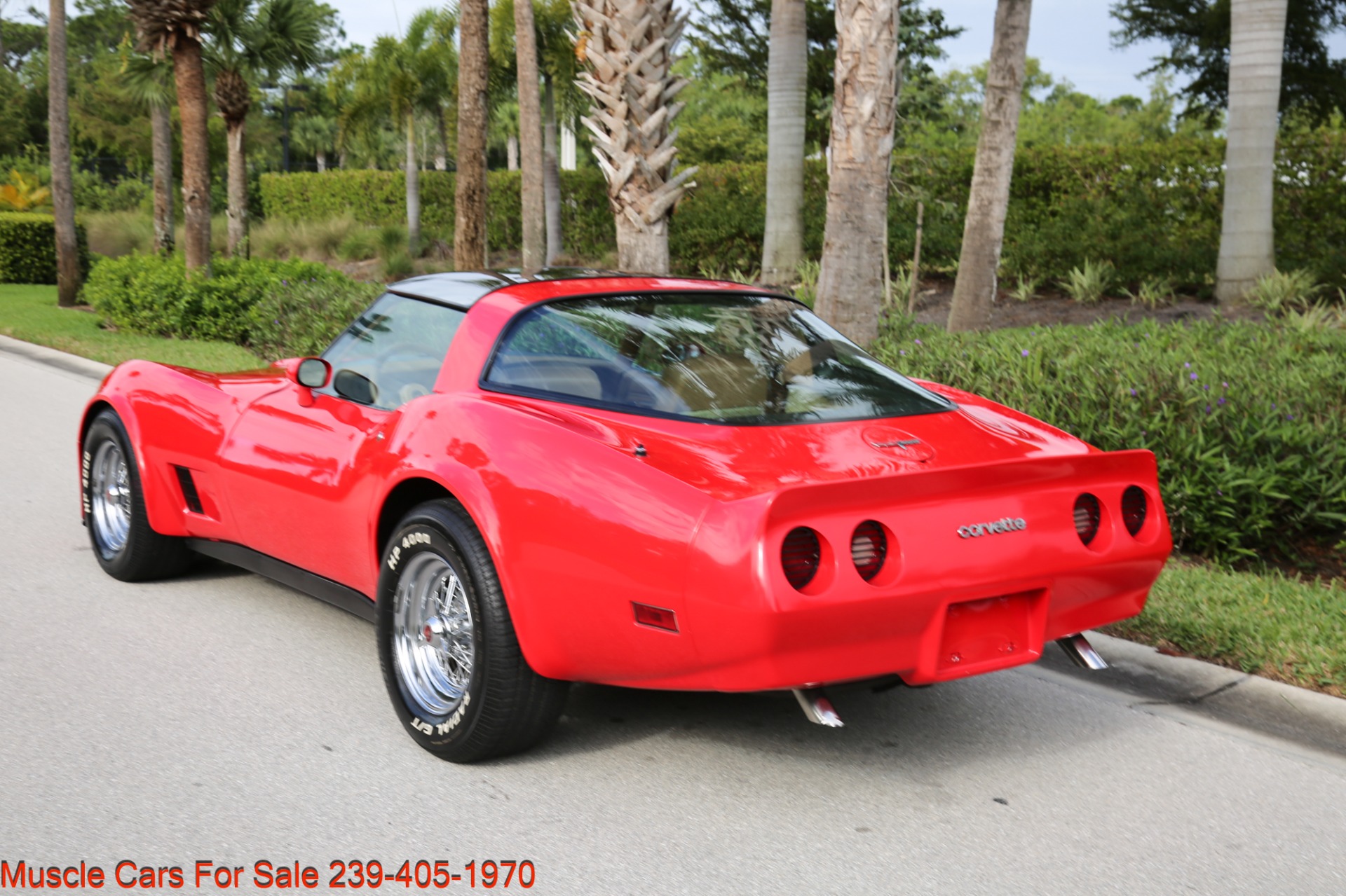 Used 1981 Chevrolet Corvette T Top for sale Sold at Muscle Cars for Sale Inc. in Fort Myers FL 33912 5