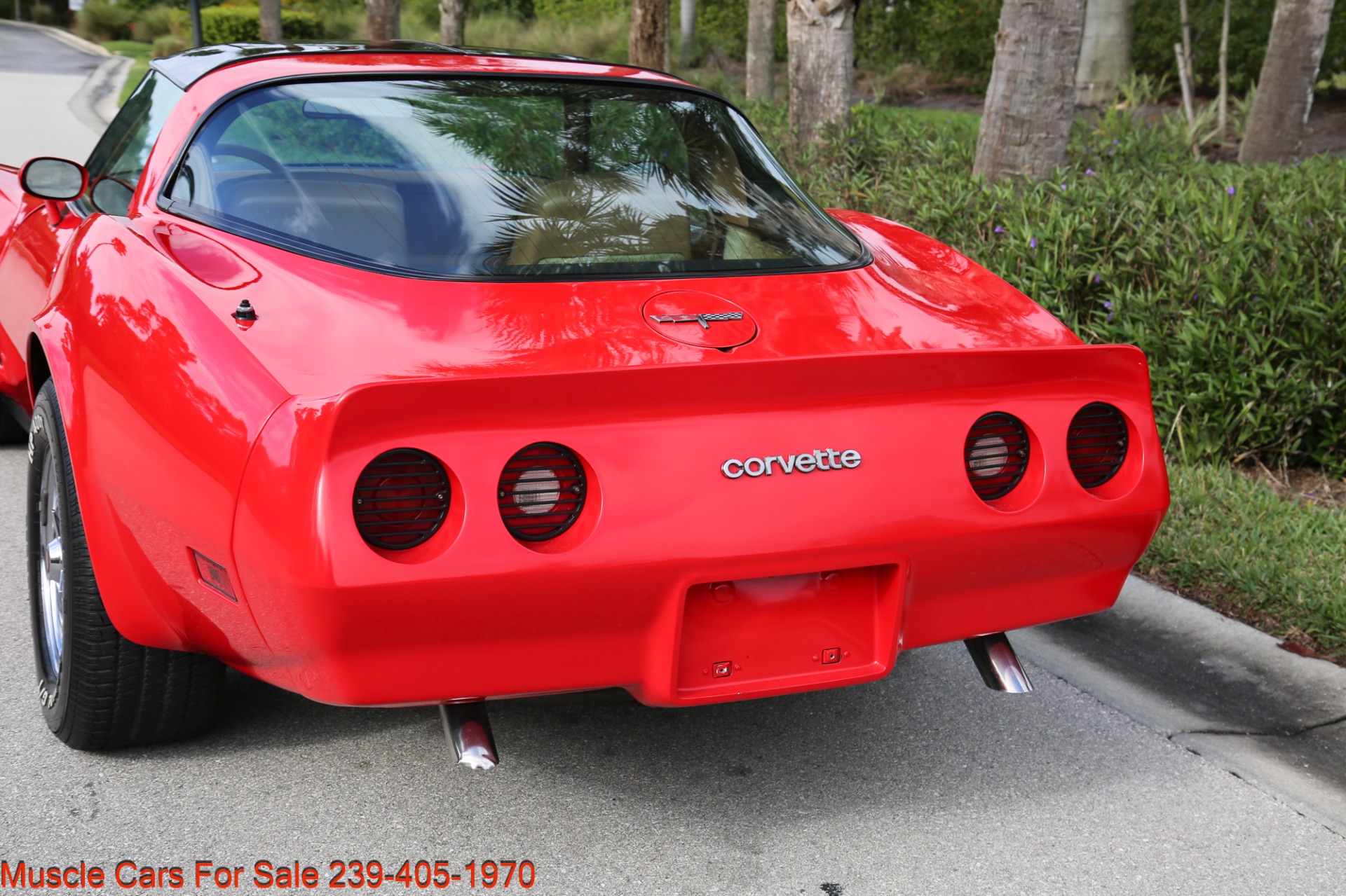 Used 1981 Chevrolet Corvette T Top for sale Sold at Muscle Cars for Sale Inc. in Fort Myers FL 33912 6