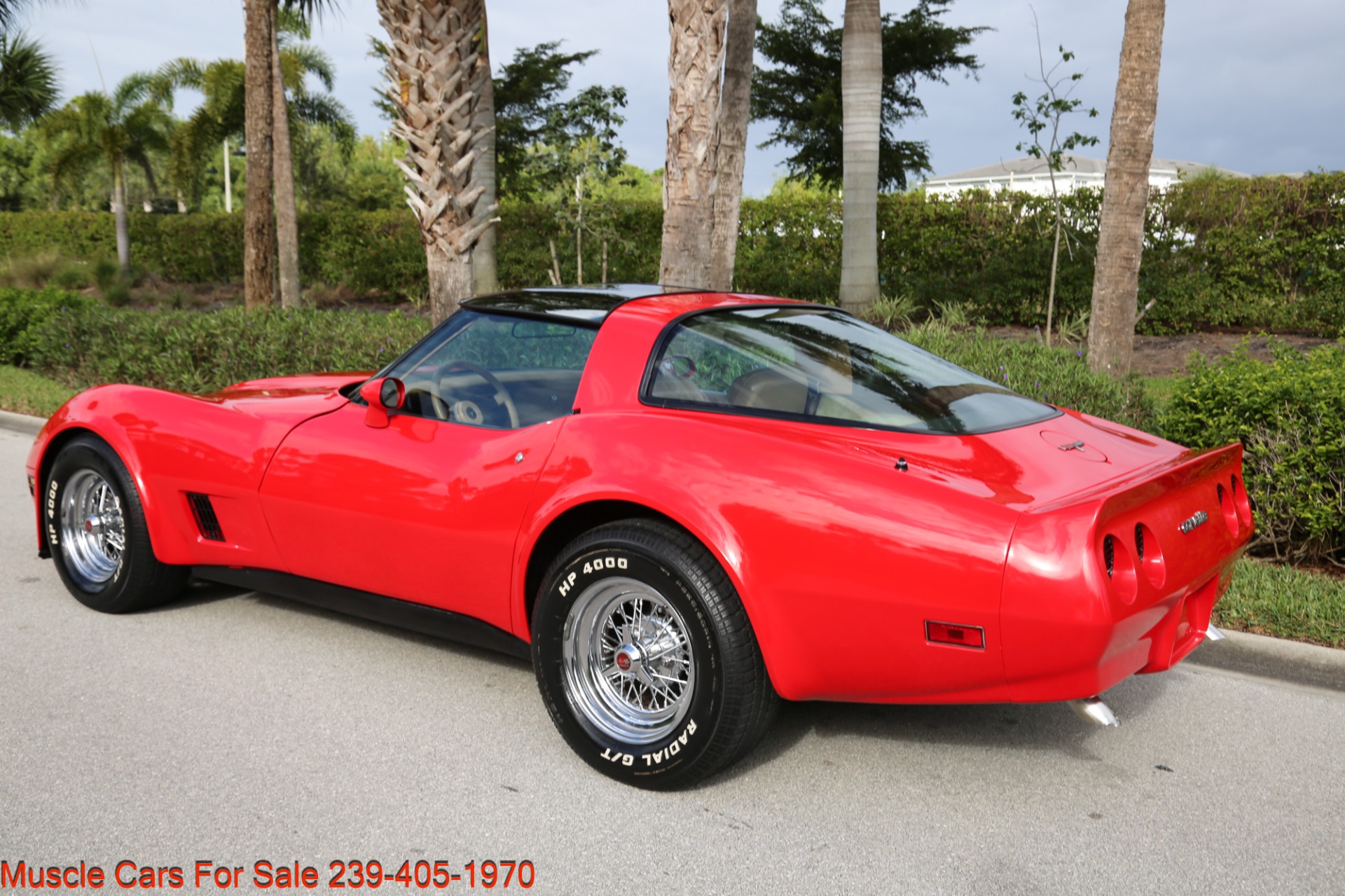 Used 1981 Chevrolet Corvette T Top for sale Sold at Muscle Cars for Sale Inc. in Fort Myers FL 33912 7