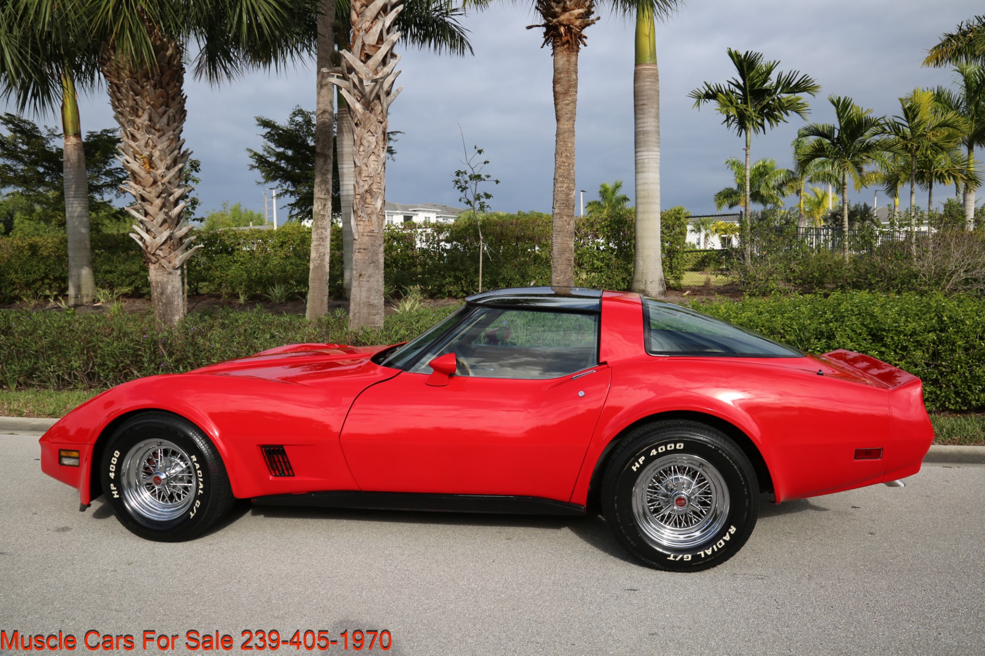 Used 1981 Chevrolet Corvette T Top for sale Sold at Muscle Cars for Sale Inc. in Fort Myers FL 33912 8