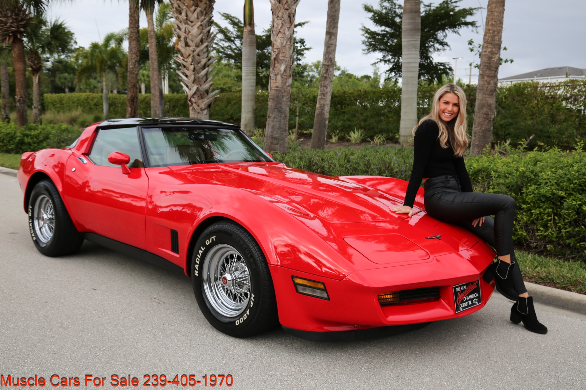 Used 1981 Chevrolet Corvette T Top for sale Sold at Muscle Cars for Sale Inc. in Fort Myers FL 33912 1