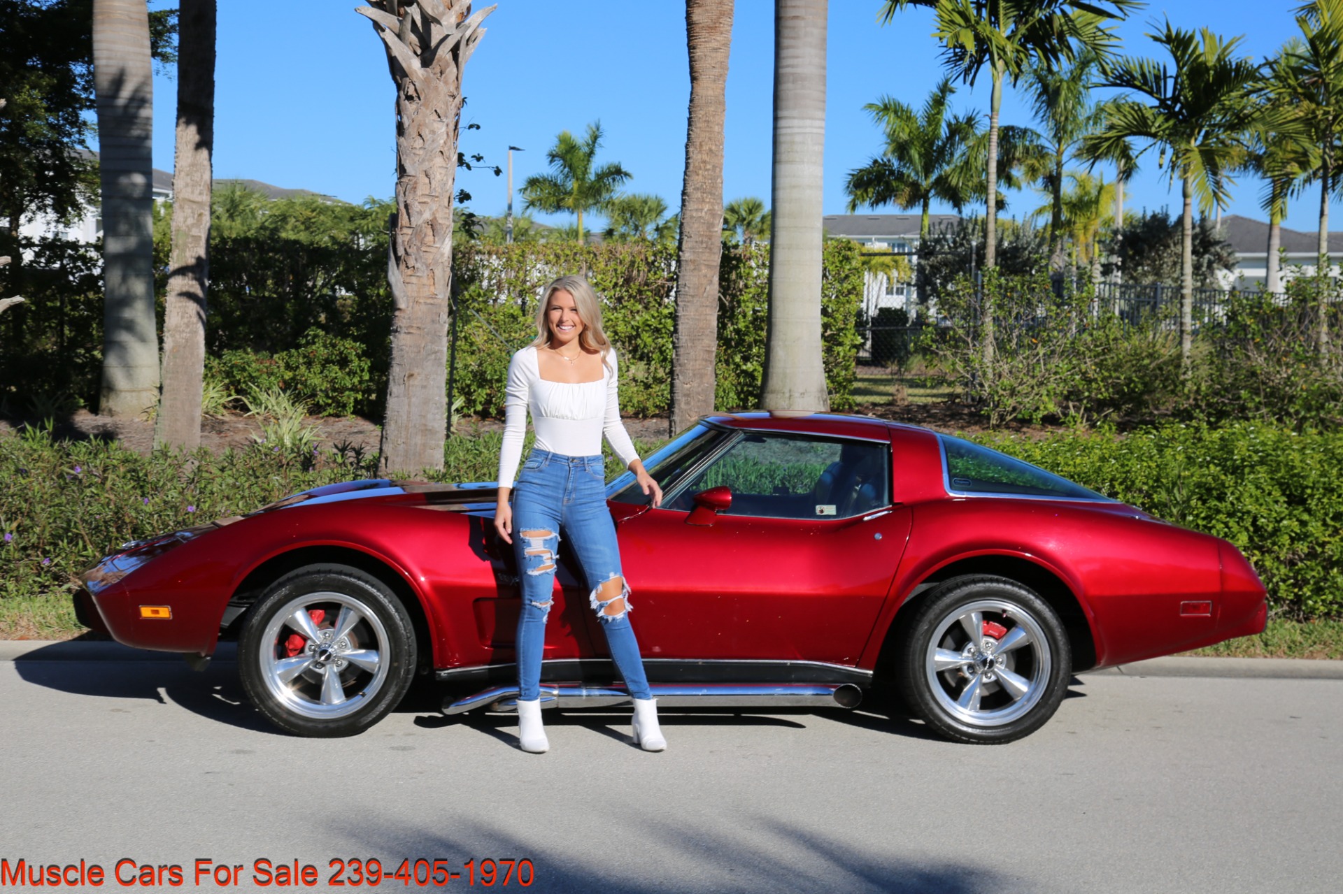 Used 1978 Chevrolet Corvette Anniversary Edition for sale $21,000 at Muscle Cars for Sale Inc. in Fort Myers FL 33912 5