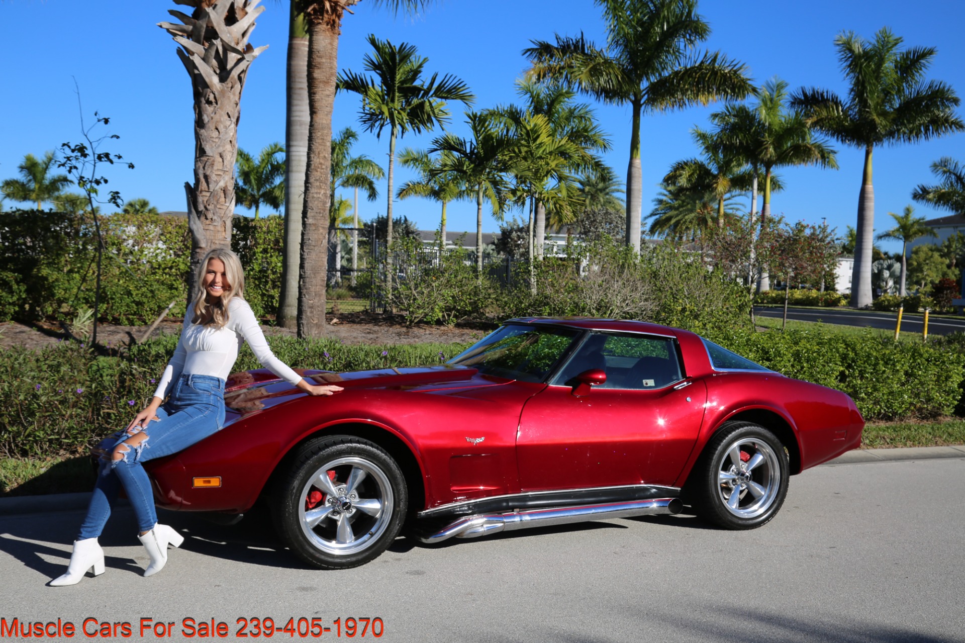 Used 1978 Chevrolet Corvette Anniversary Edition for sale $21,000 at Muscle Cars for Sale Inc. in Fort Myers FL 33912 1