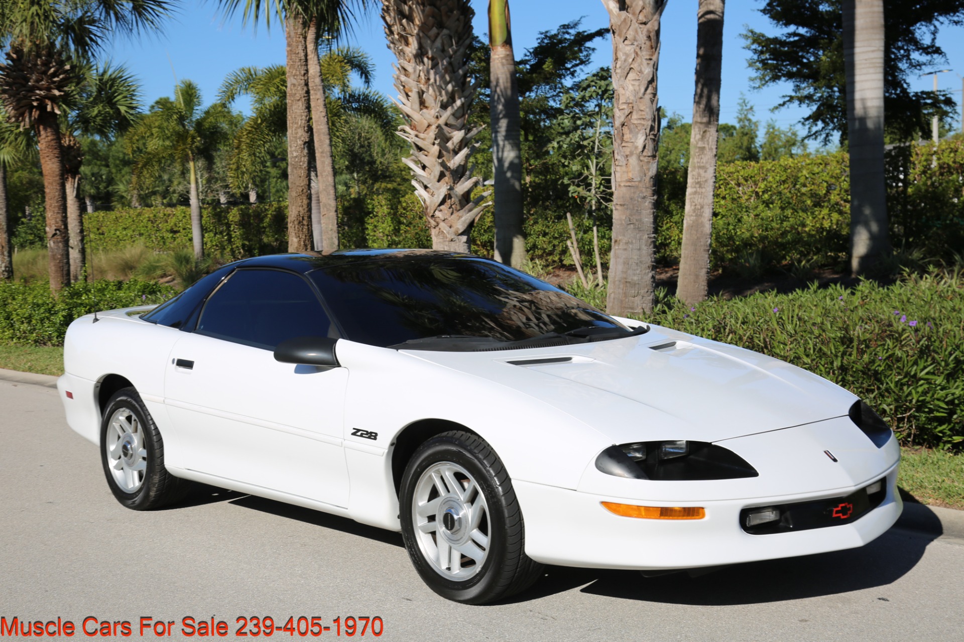 Used 1994 Chevrolet Camaro Z28 for sale Sold at Muscle Cars for Sale Inc. in Fort Myers FL 33912 4