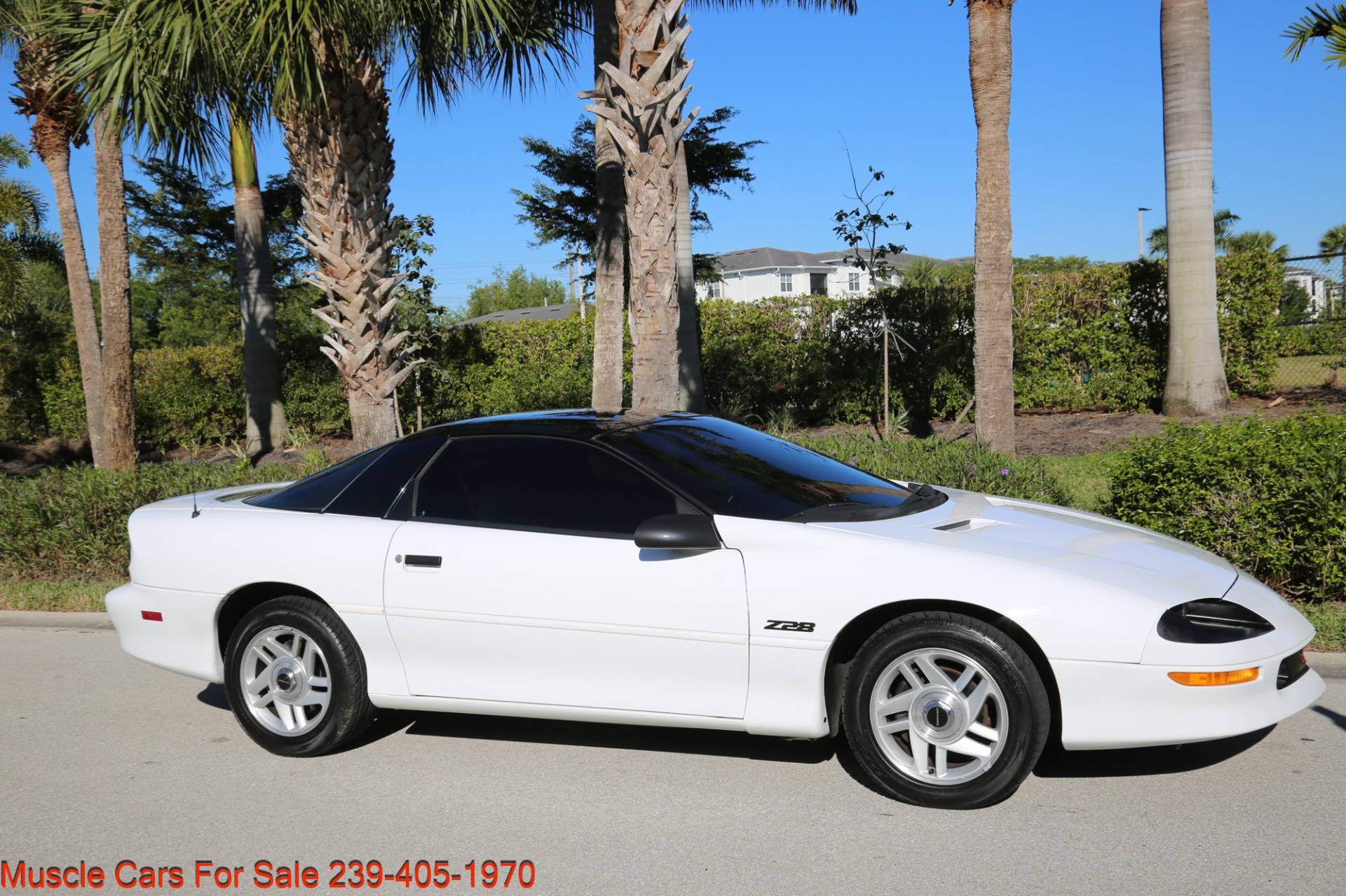 Used 1994 Chevrolet Camaro Z28 for sale Sold at Muscle Cars for Sale Inc. in Fort Myers FL 33912 5