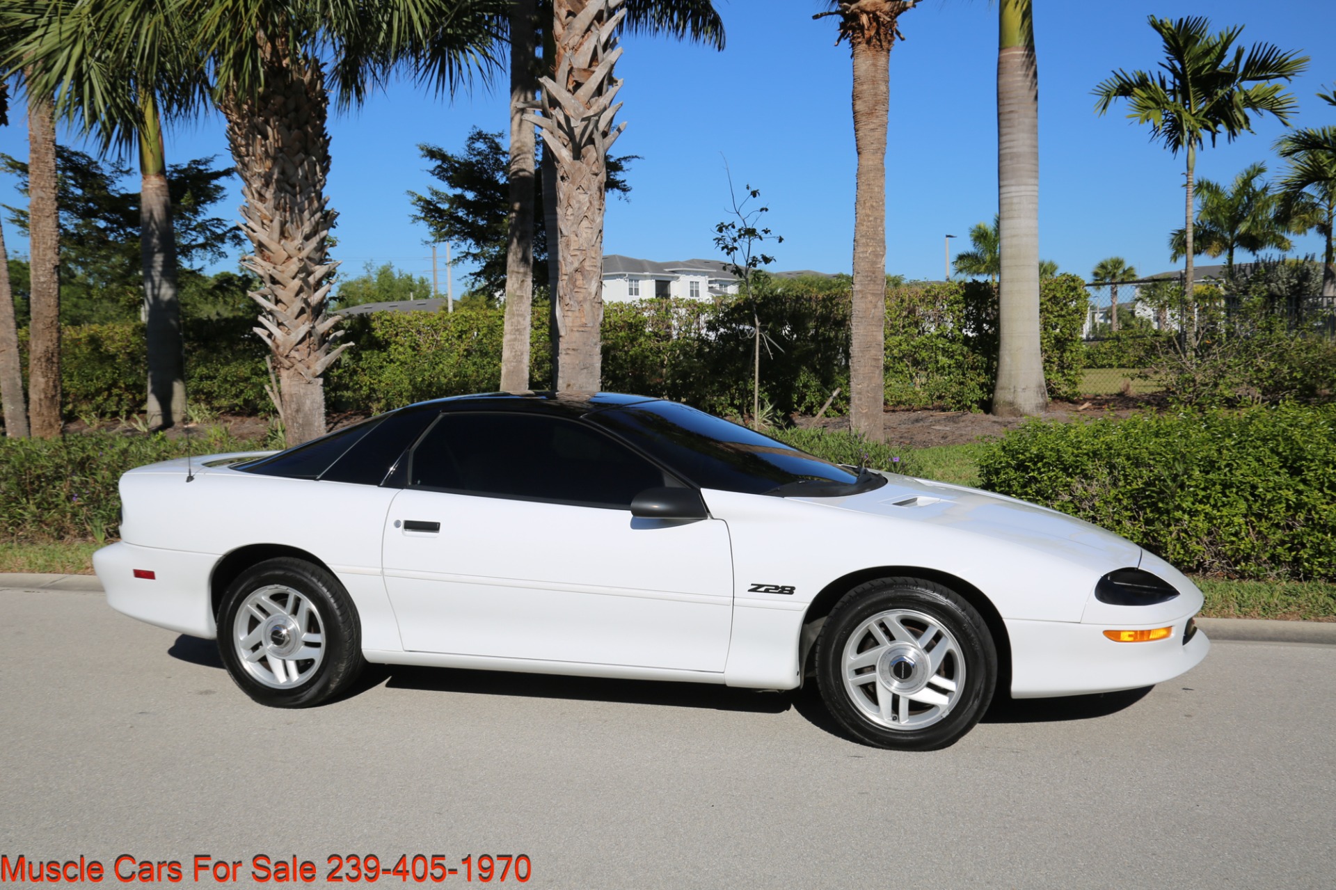 Used 1994 Chevrolet Camaro Z28 for sale Sold at Muscle Cars for Sale Inc. in Fort Myers FL 33912 6