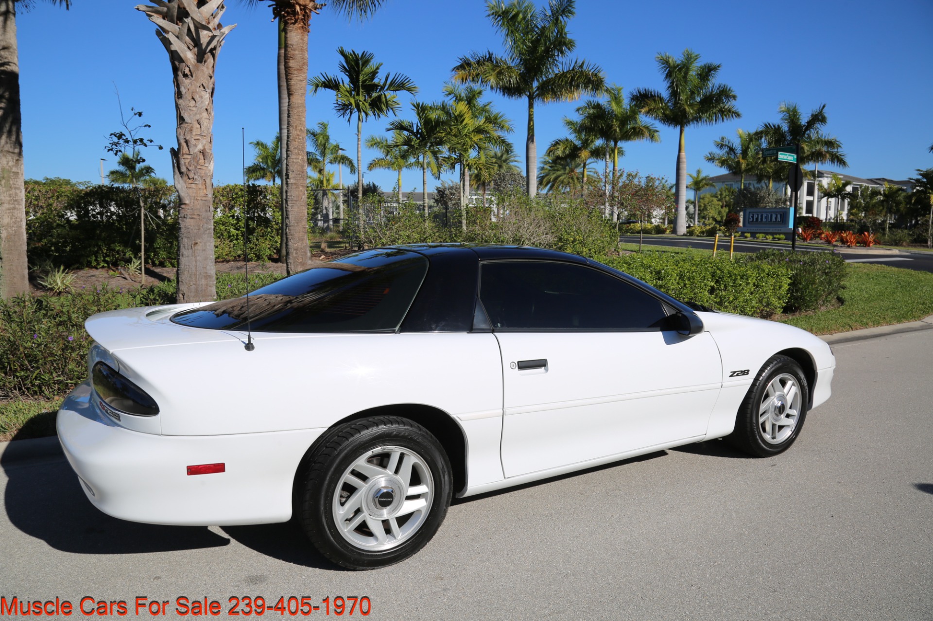 Used 1994 Chevrolet Camaro Z28 for sale Sold at Muscle Cars for Sale Inc. in Fort Myers FL 33912 8